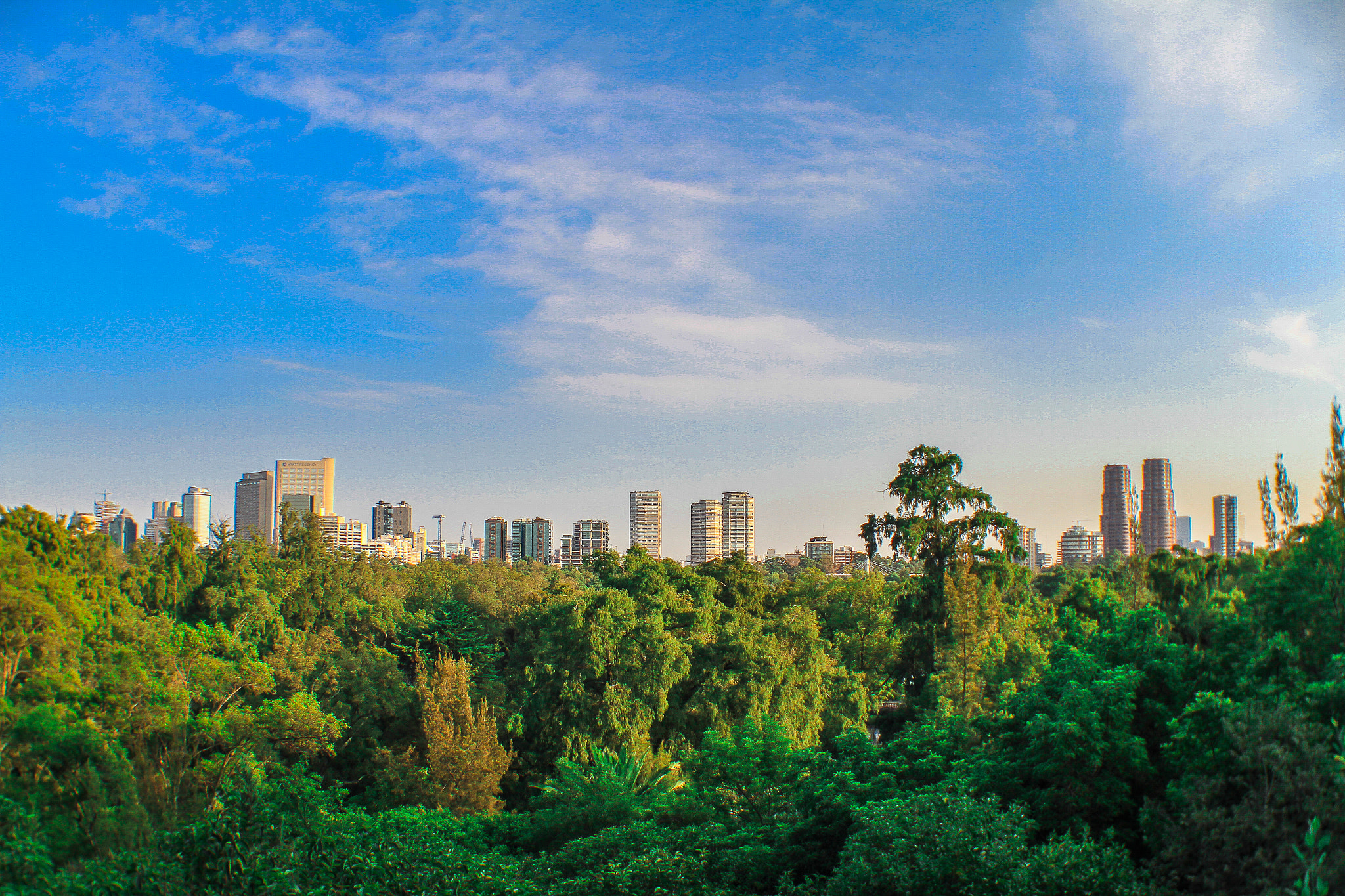 Canon EF 28-105mm f/3.5-4.5 USM sample photo. Cdmxc photography