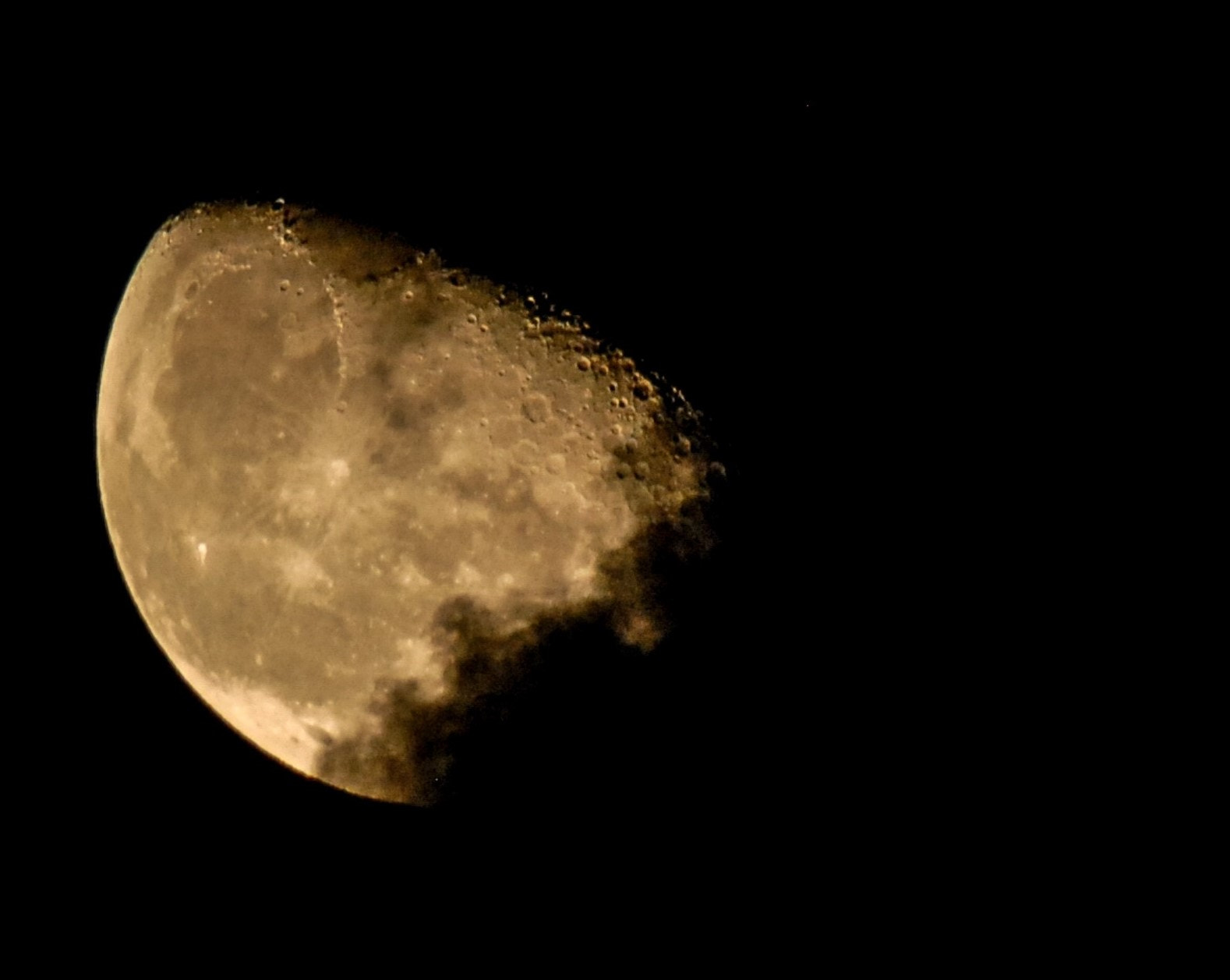 Sigma 50-500mm F4-6.3 EX APO RF HSM sample photo