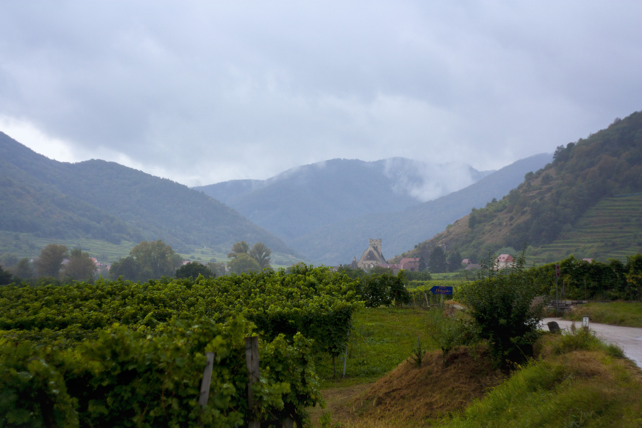Canon EF 35-80mm f/4-5.6 sample photo. Wachau vineyards photography