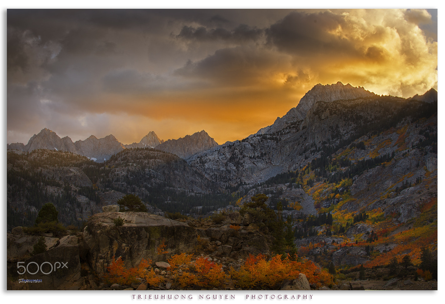 Nikon D4 sample photo. Autumn in california photography