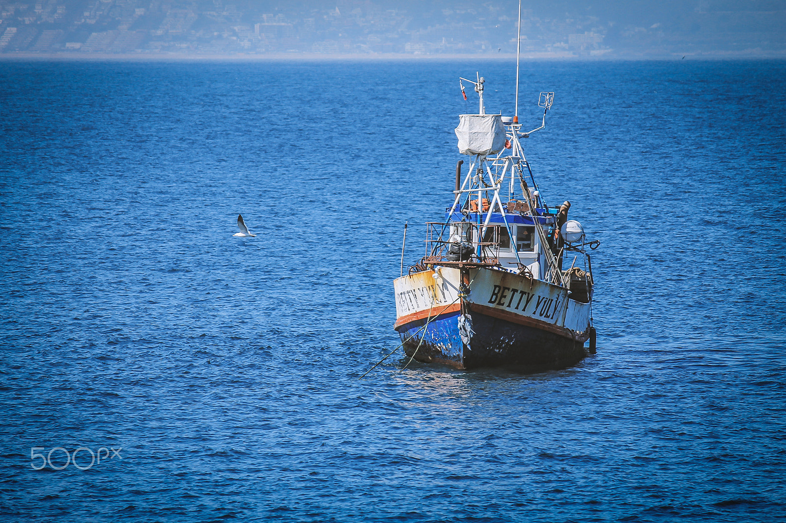Canon EF-S 55-250mm F4-5.6 IS sample photo. V photography