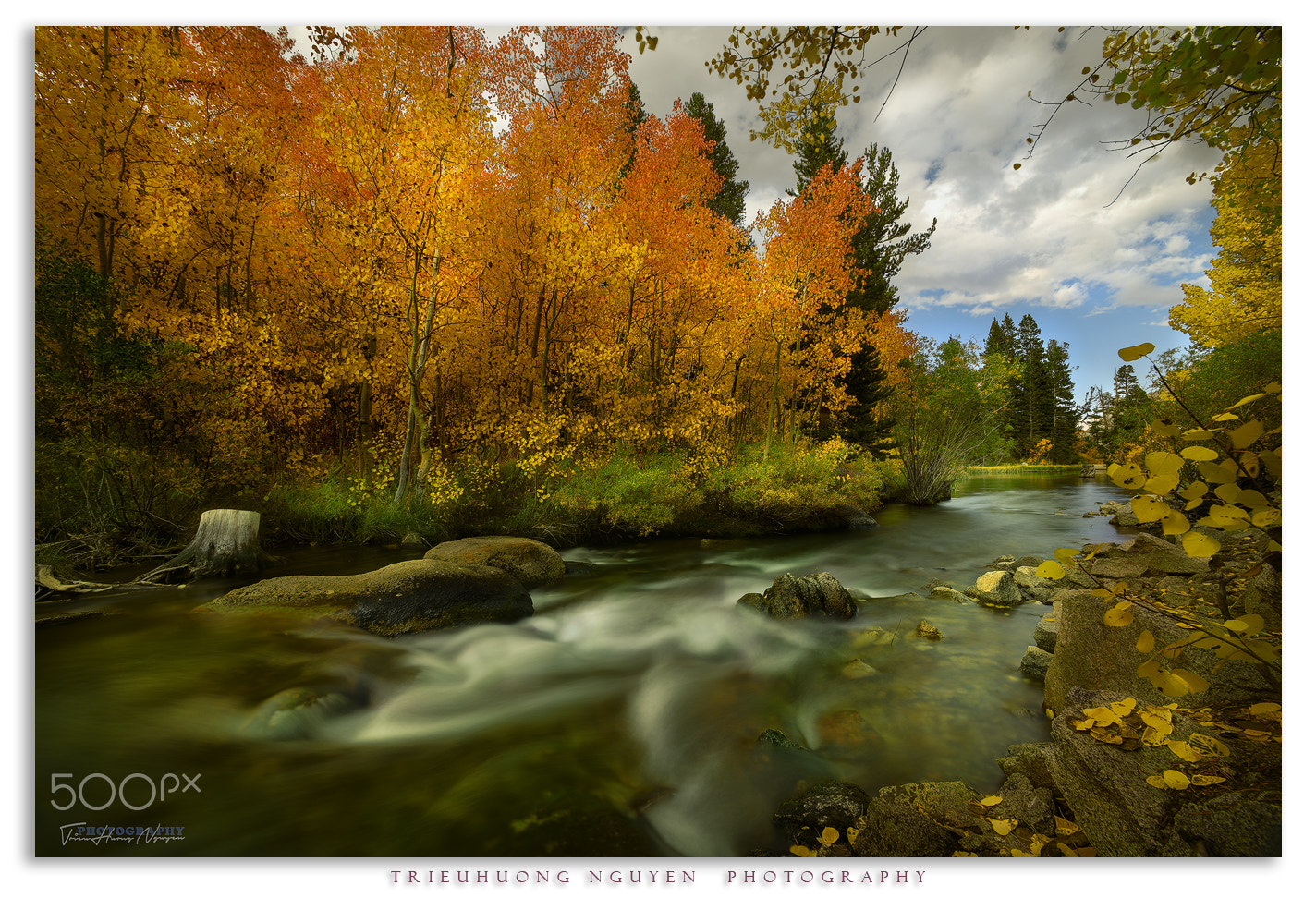 Nikon AF-S Nikkor 17-35mm F2.8D ED-IF sample photo. Autumn in california photography