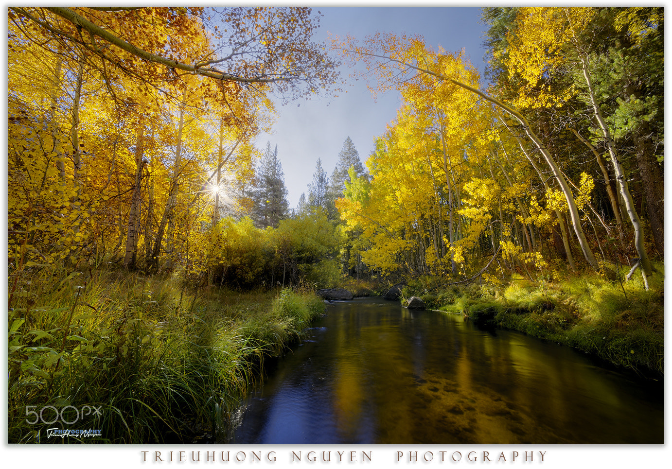 Nikon D810 sample photo. Autumn in california photography