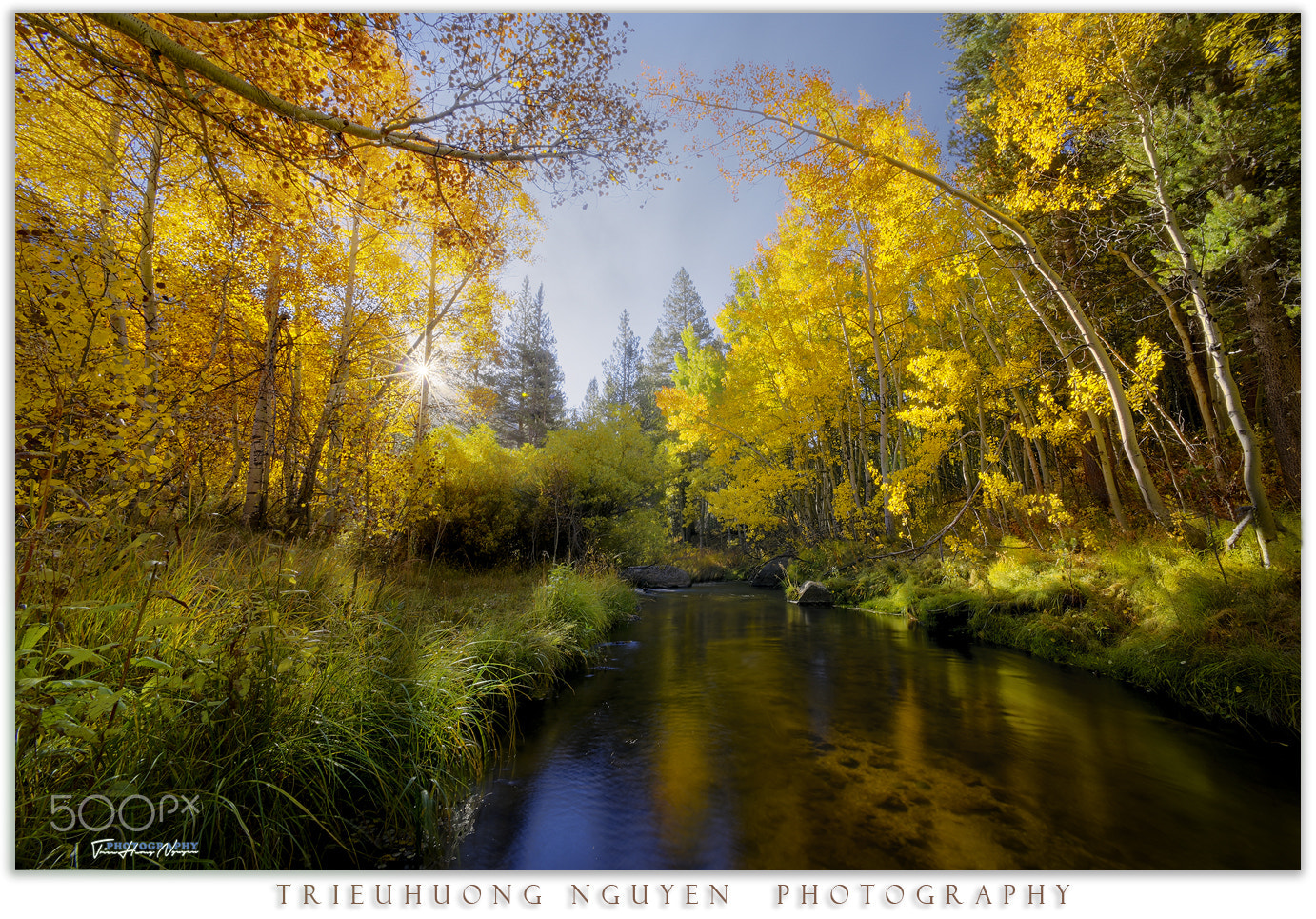 Nikon D810 + Nikon AF Nikkor 14mm F2.8D ED sample photo. Autumn in california photography