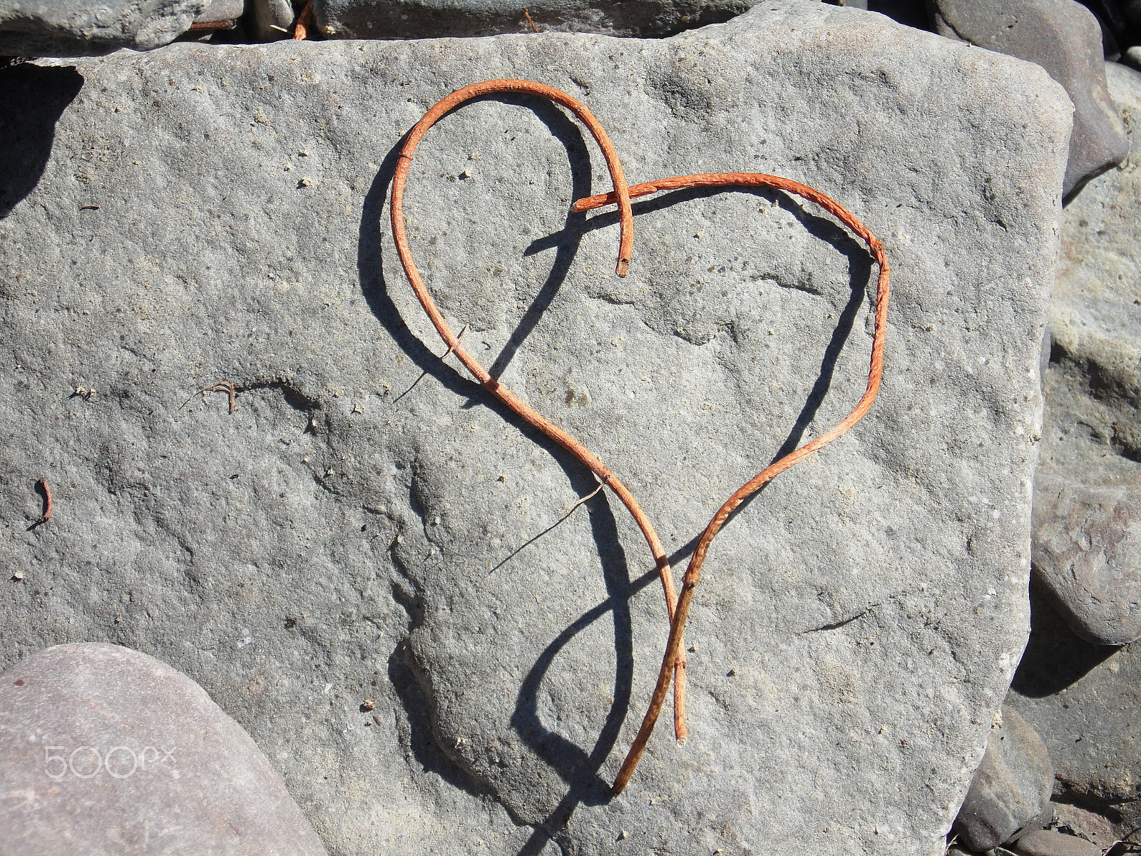 Samsung WB110/  WB111 sample photo. Grass heart photography