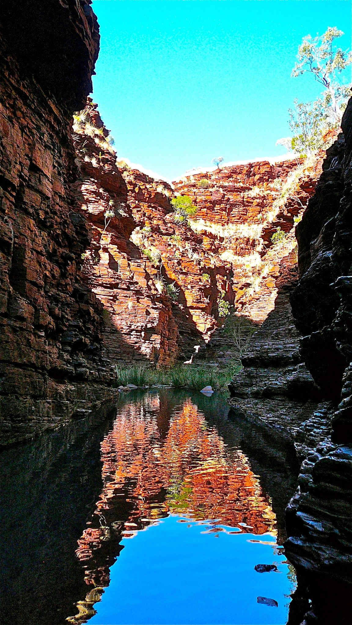 Panasonic DMC-TZ1 sample photo. Beautiful canyon (western australia) photography