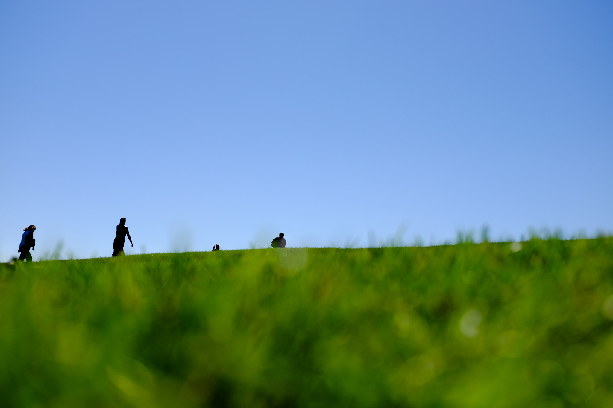Fujifilm X-E2S + Fujifilm XF 35mm F2 R WR sample photo. Breathe green photography