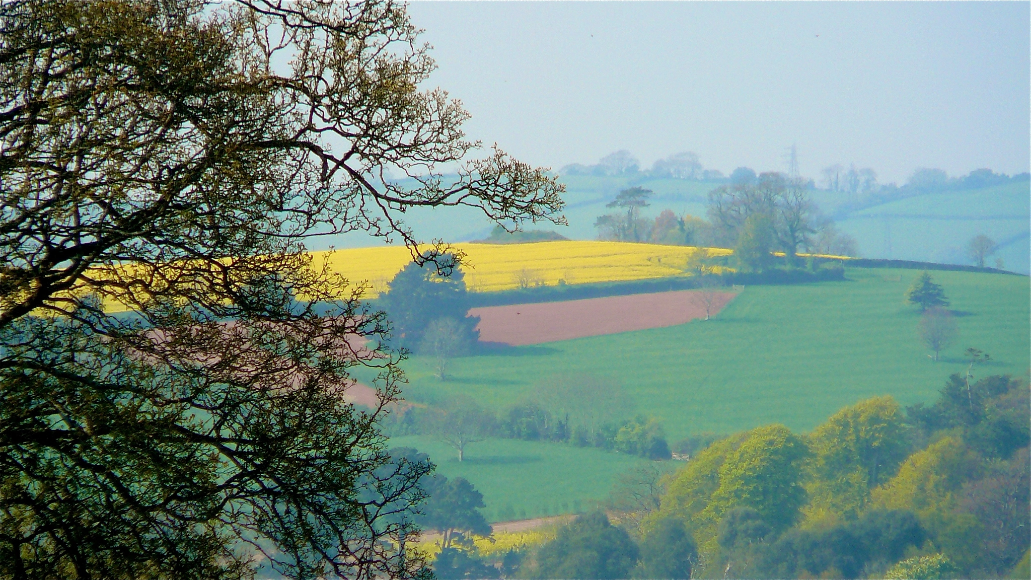 Panasonic DMC-TZ1 sample photo. Red ploughed field, yellow rapeseed, green grass (south devon) photography