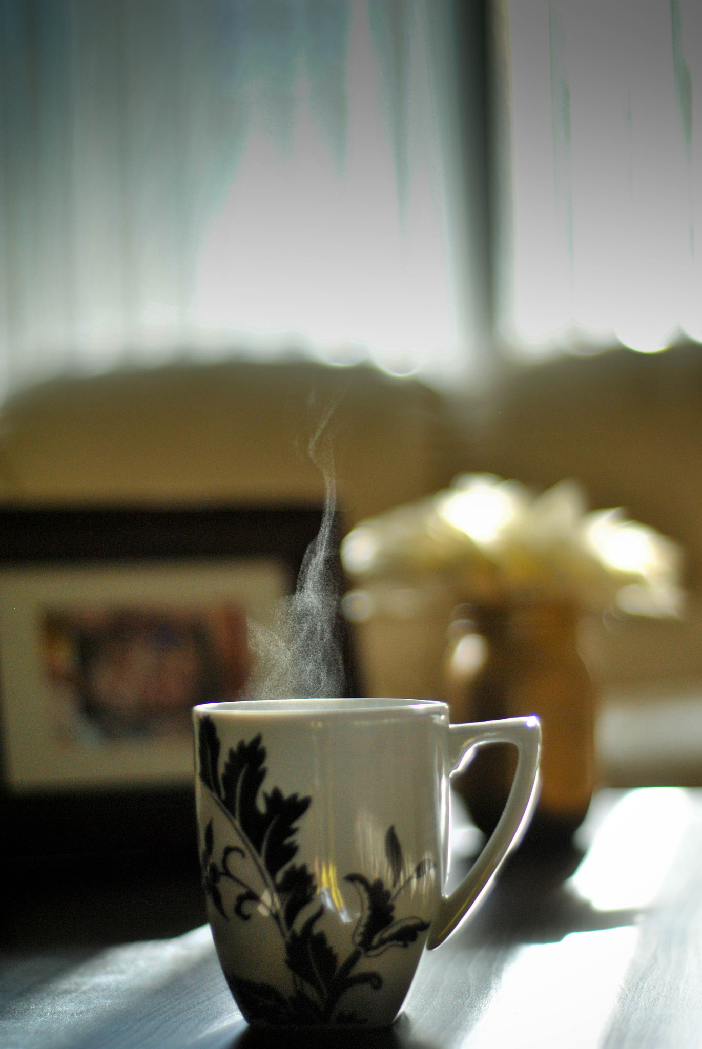 Nikon D3000 + Nikon AF Nikkor 50mm F1.8D sample photo
