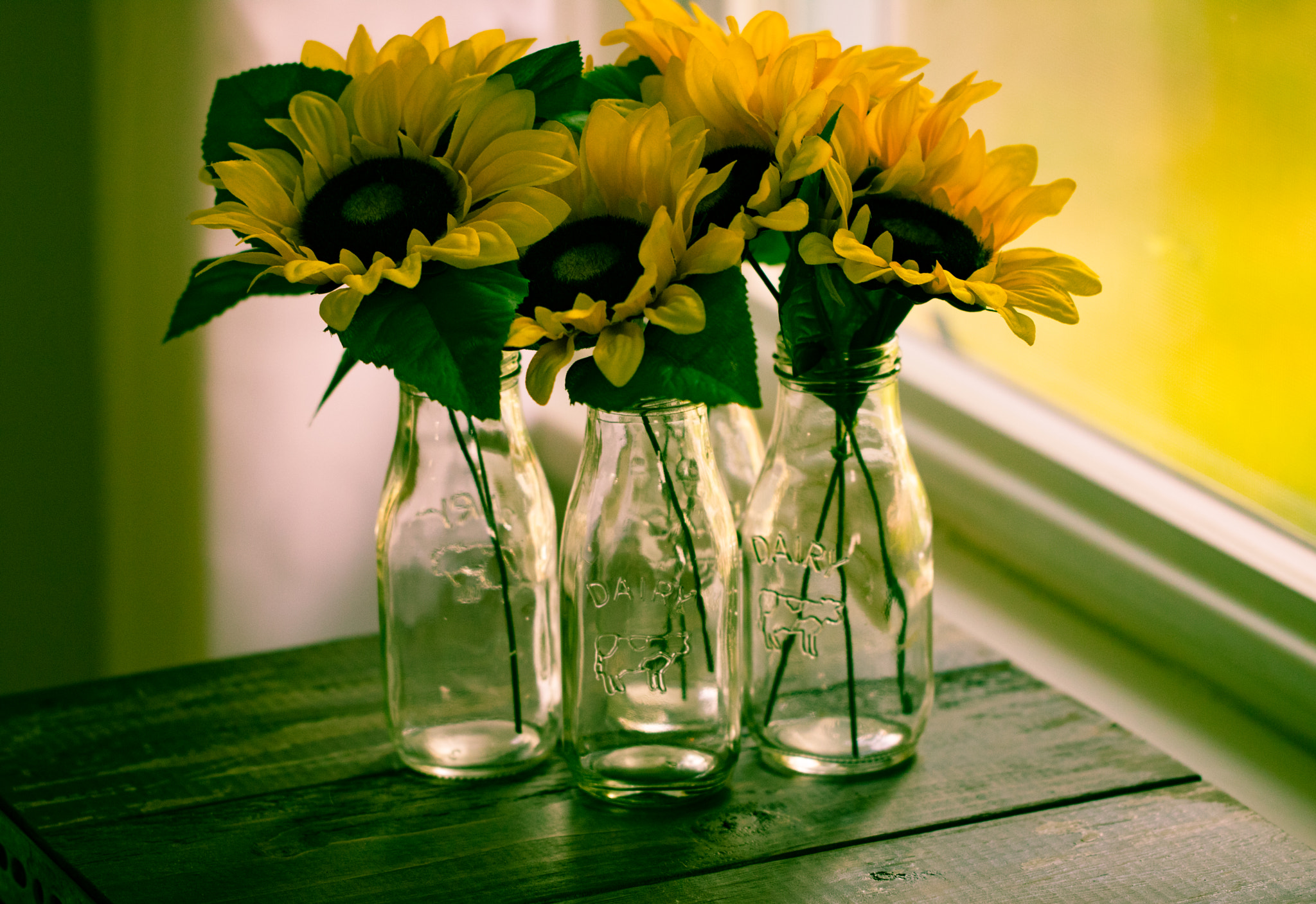 Canon EF 100mm F2.8L Macro IS USM sample photo. Daisies in milk bottles photography