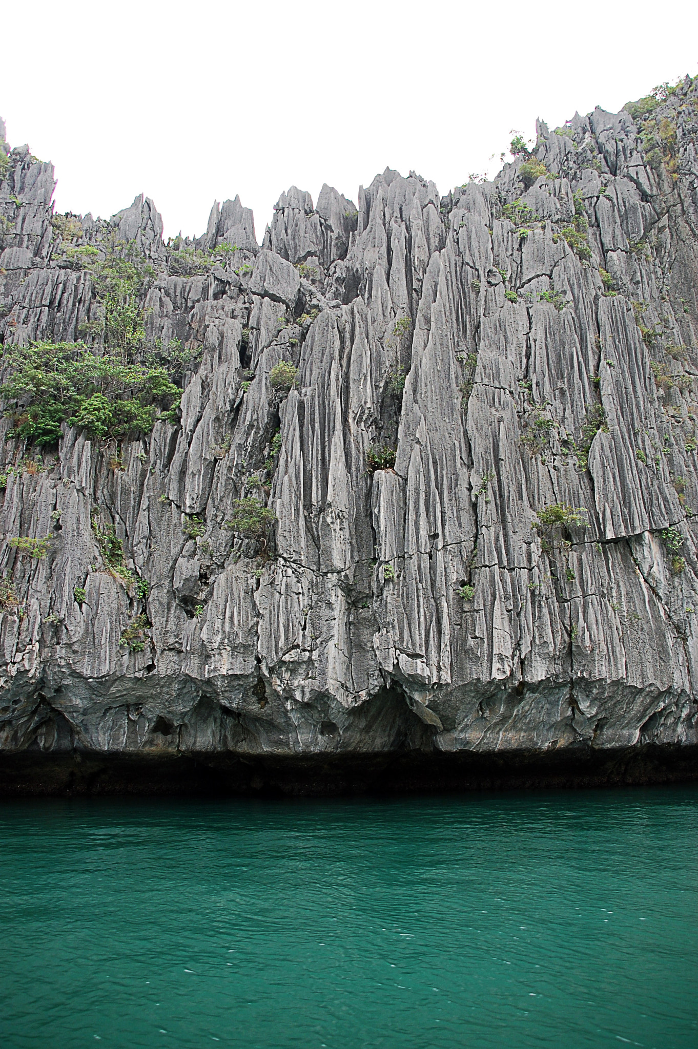 Nikon D40 + Sigma 18-200mm F3.5-6.3 DC sample photo. Cat ba island, vietnam photography