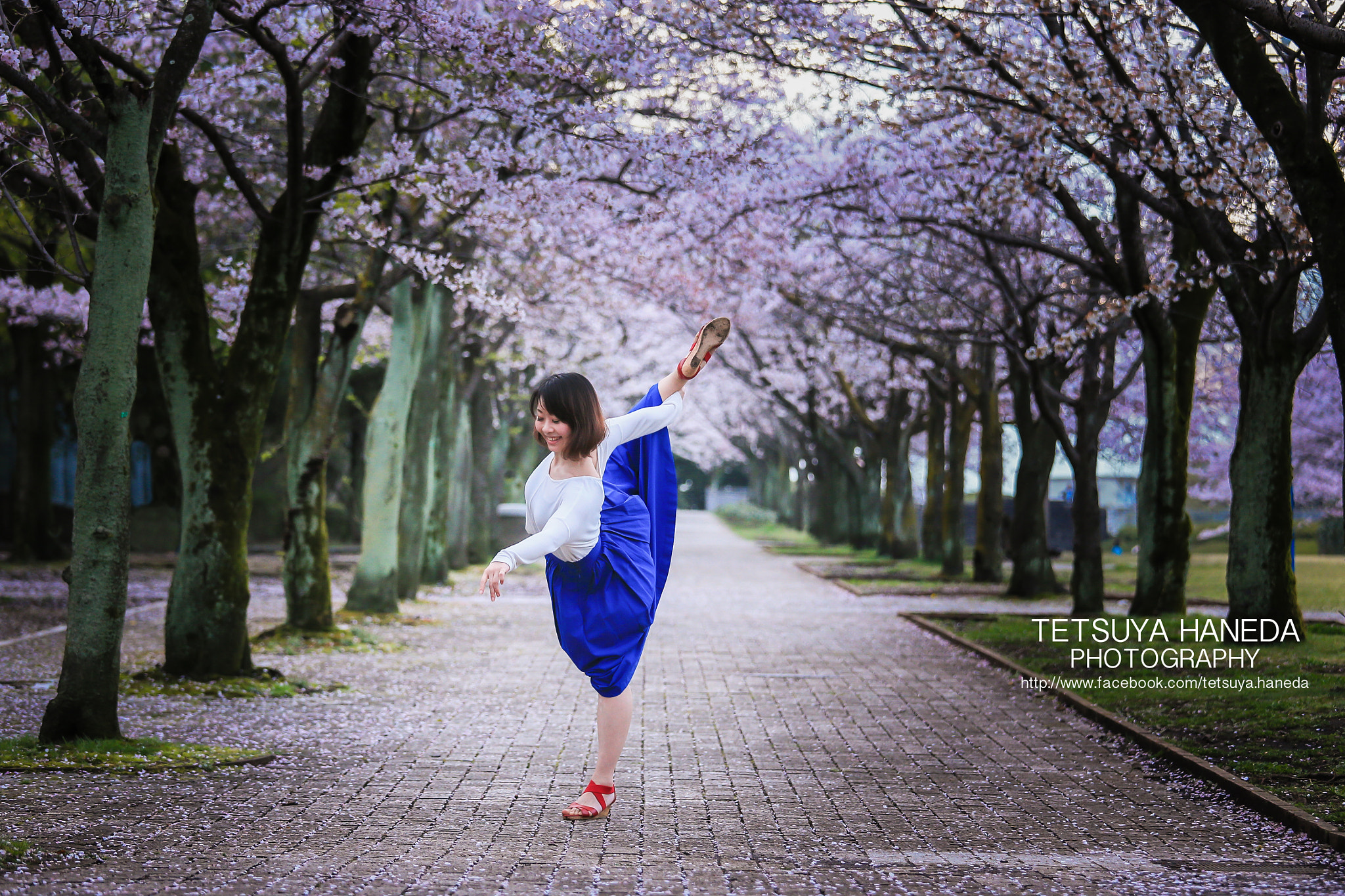 Canon EF 70-200mm F4L IS USM sample photo. Shino photography