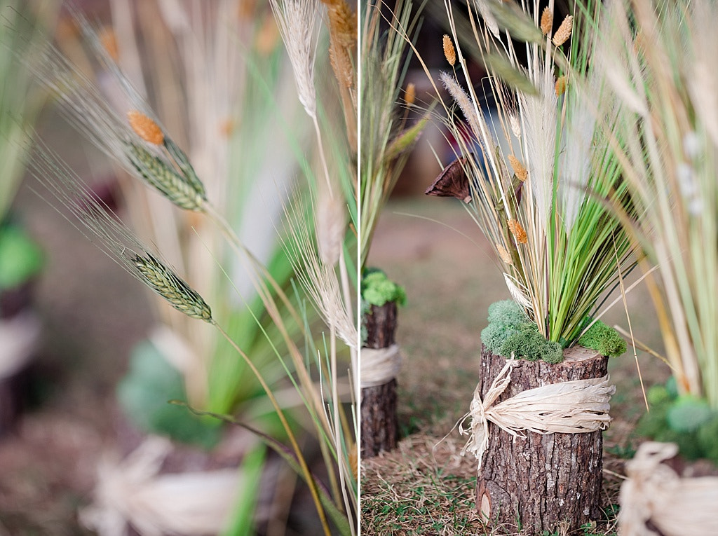 Canon EOS 6D + Canon EF 100mm F2.8L Macro IS USM sample photo. Ak082 photography