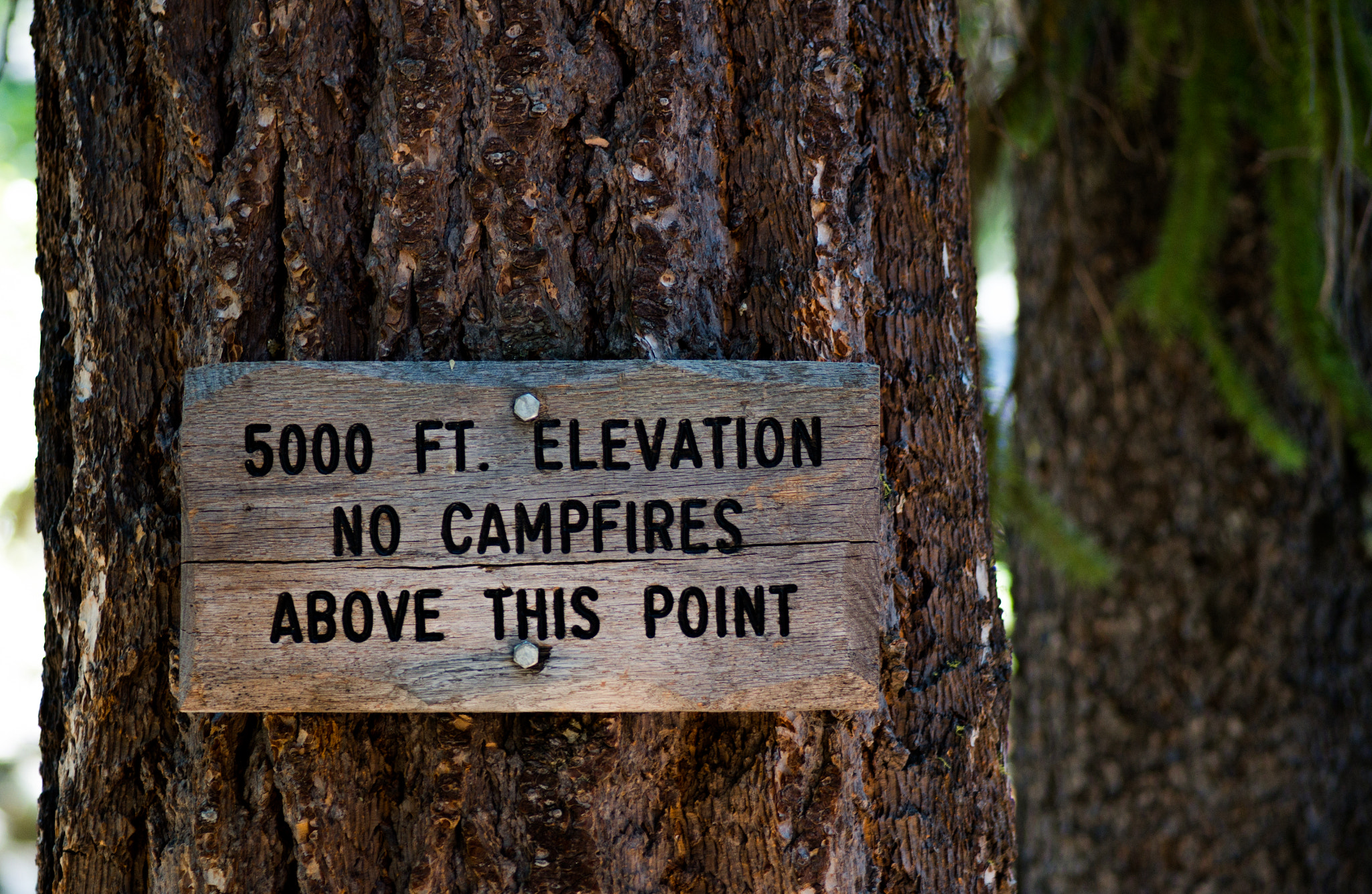 Pentax smc D-FA 100mm F2.8 Macro WR sample photo. 5000 feet photography