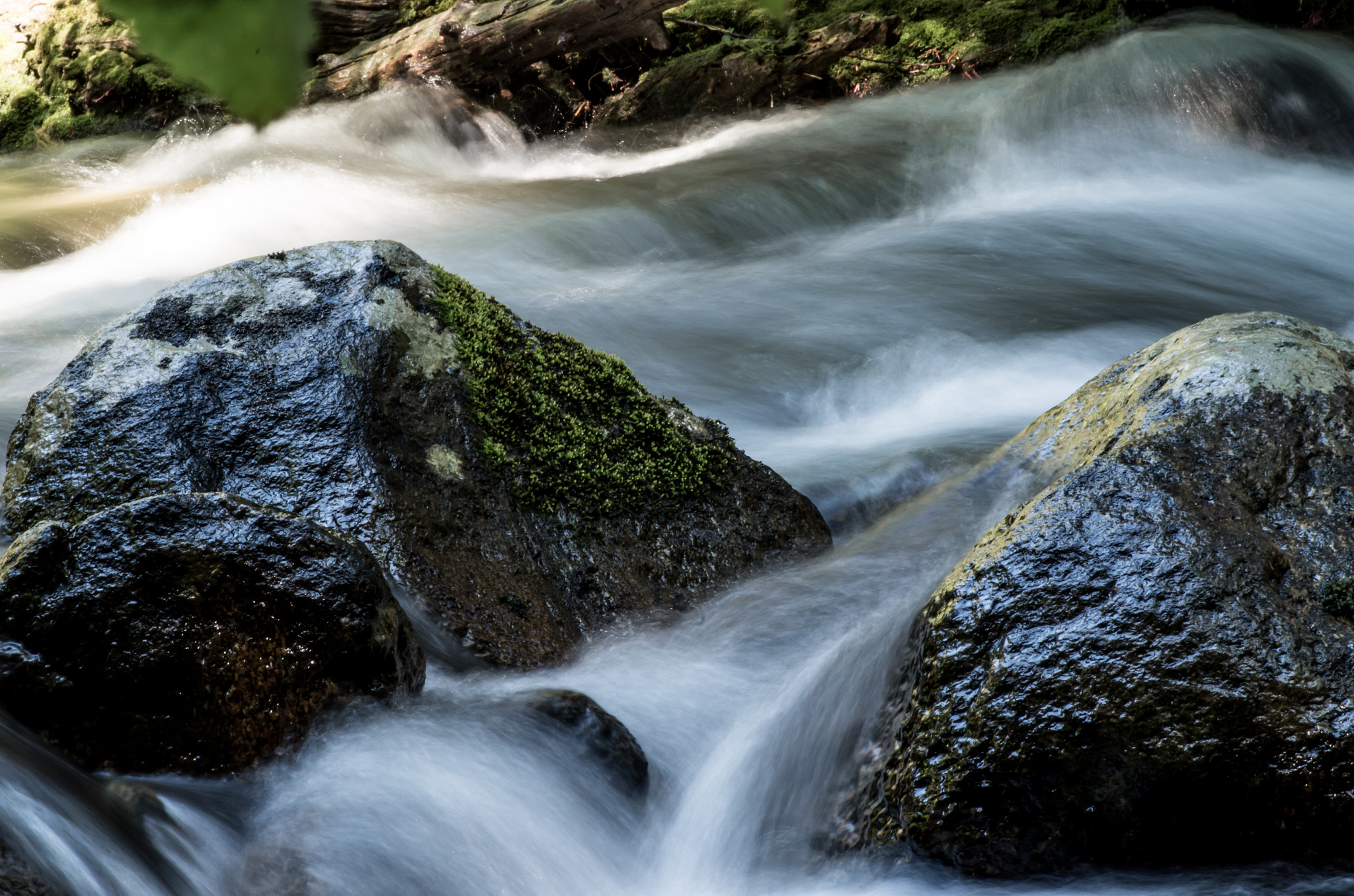 Pentax K-50 sample photo. River whispers photography