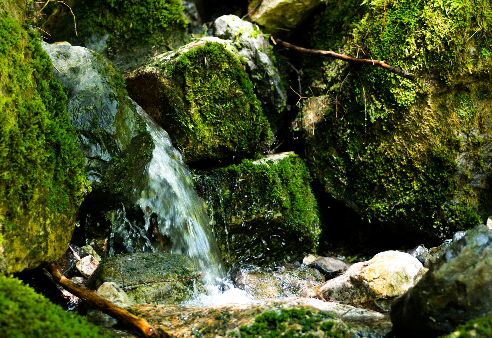 Pentax smc D-FA 100mm F2.8 Macro WR sample photo. Mossy trickle photography
