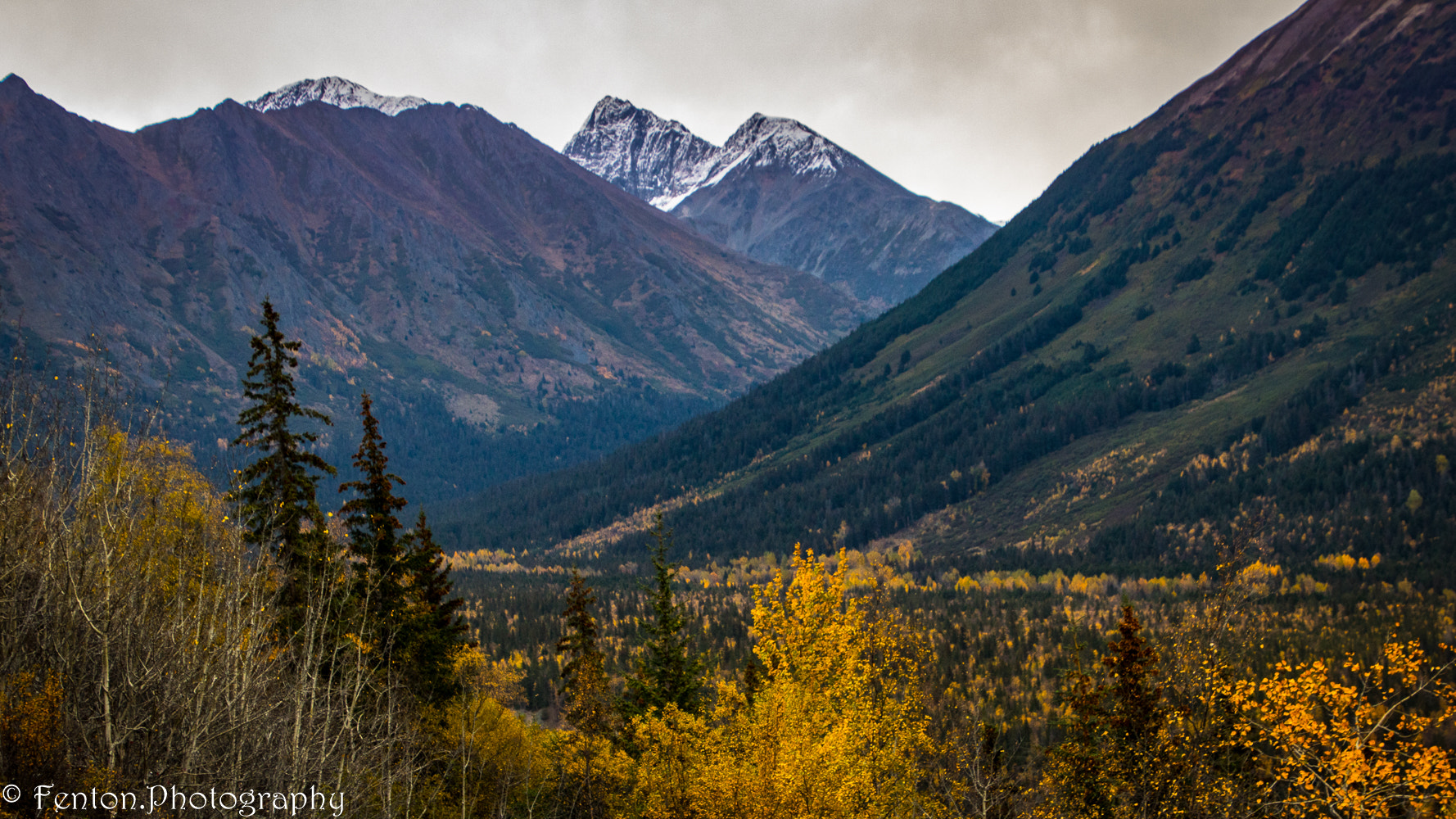 Canon EOS 760D (EOS Rebel T6s / EOS 8000D) sample photo. Fall in alaska photography
