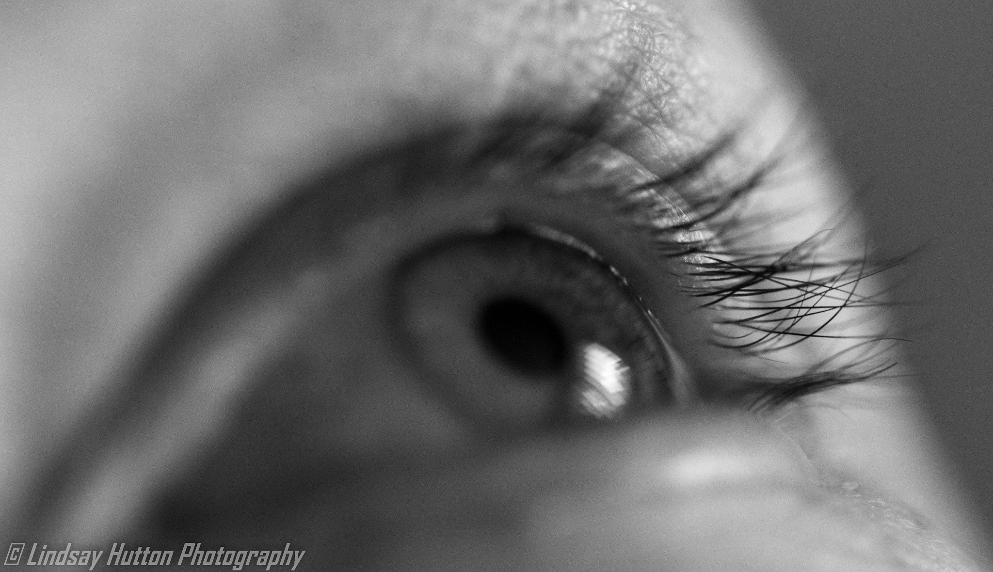 Canon EF 100mm F2.8L Macro IS USM sample photo. Gaze photography