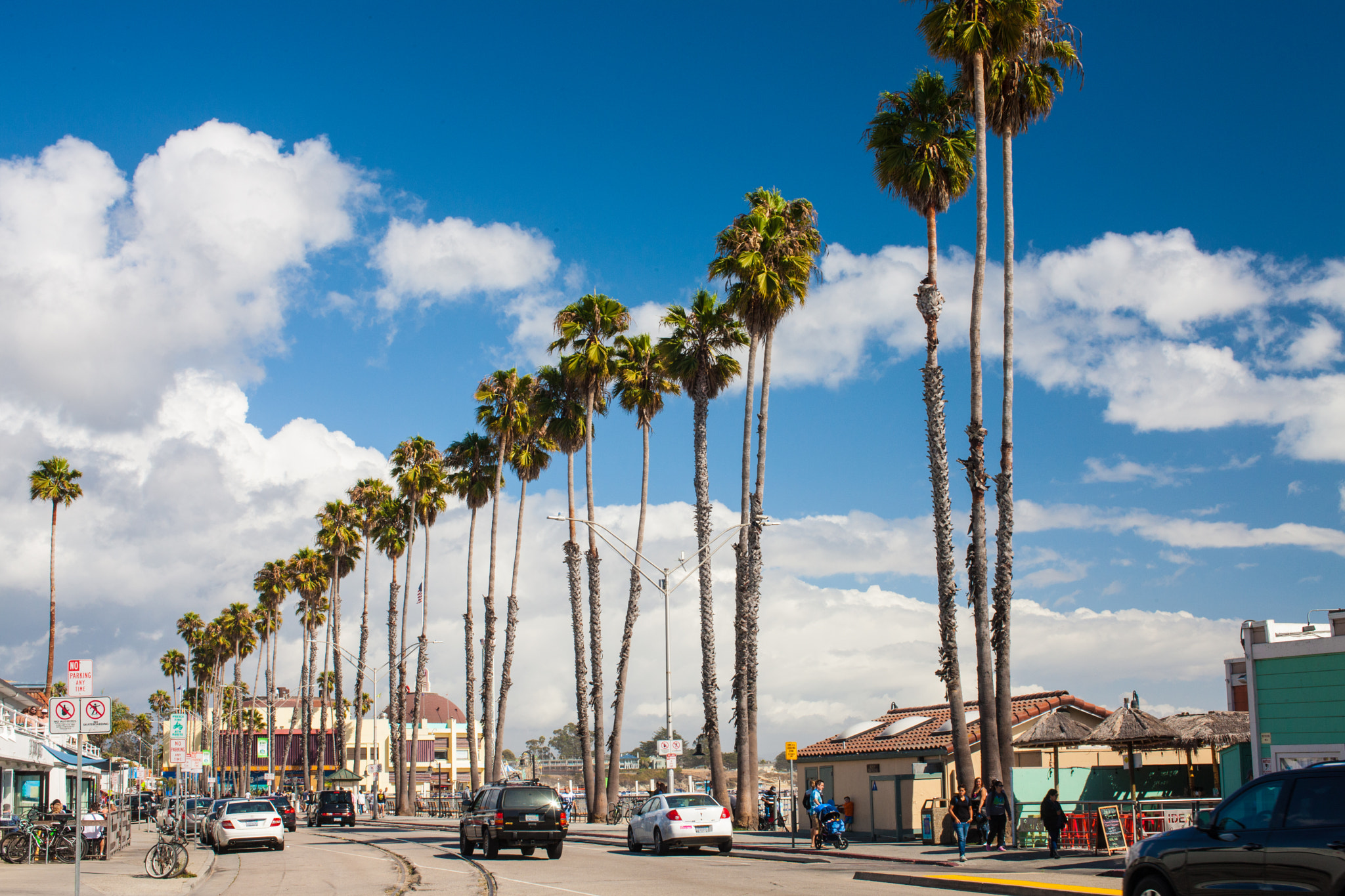 Canon EOS-1Ds Mark III sample photo. Santa cruz photography