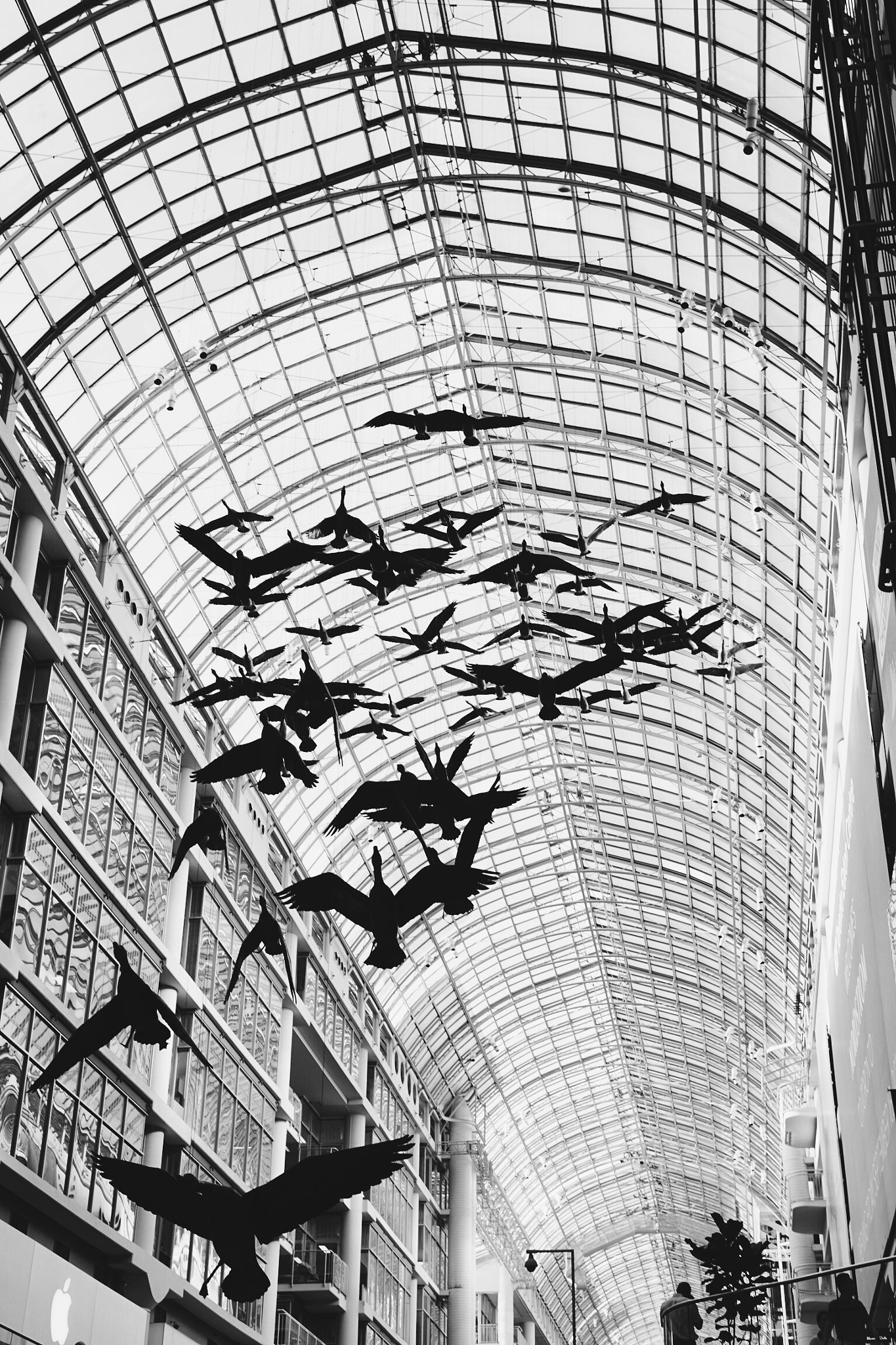 Sigma 30mm F1.4 DC DN | C sample photo. Eaton centre photography