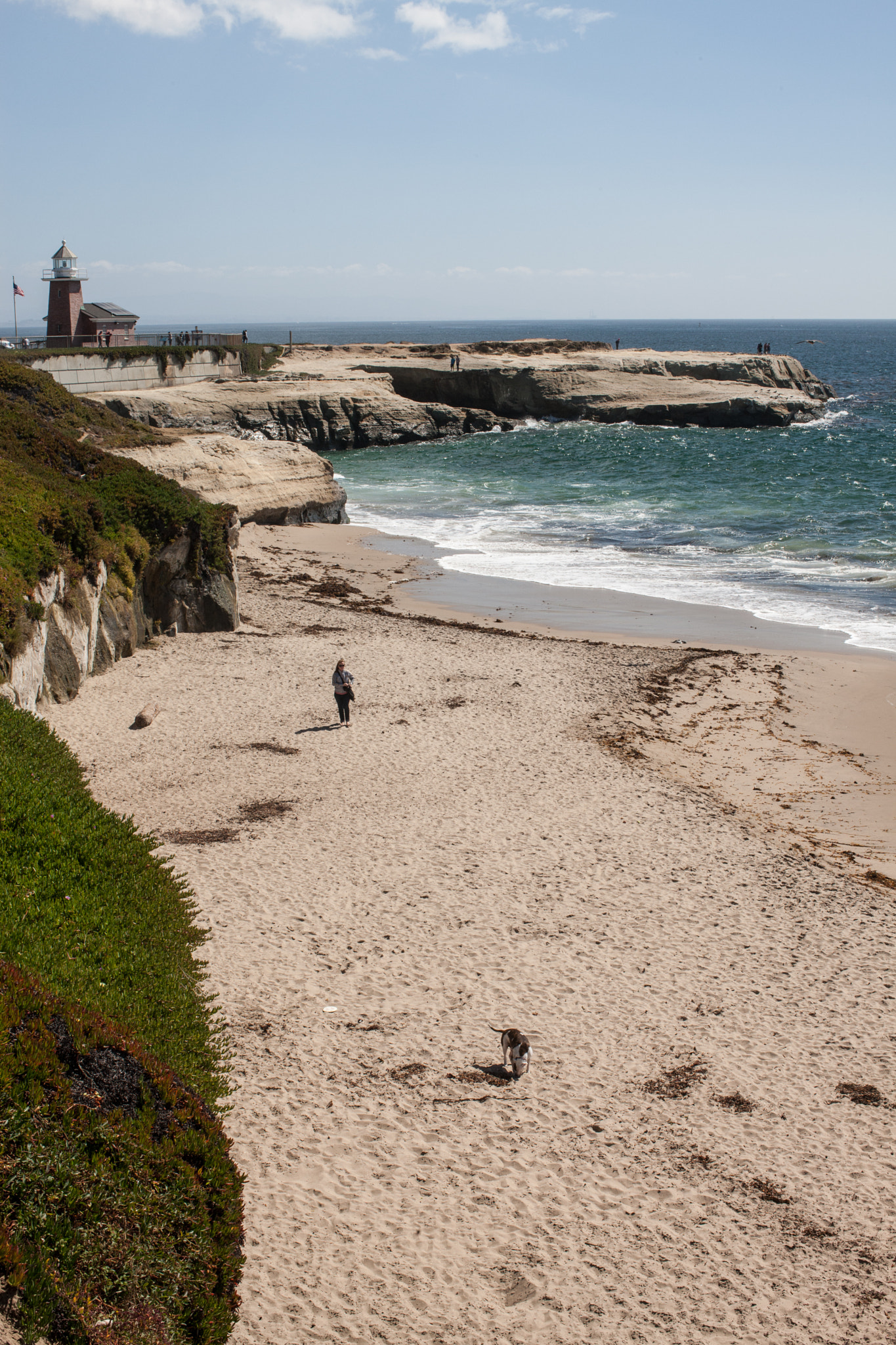 Canon EOS-1Ds Mark III sample photo. Santa cruz photography