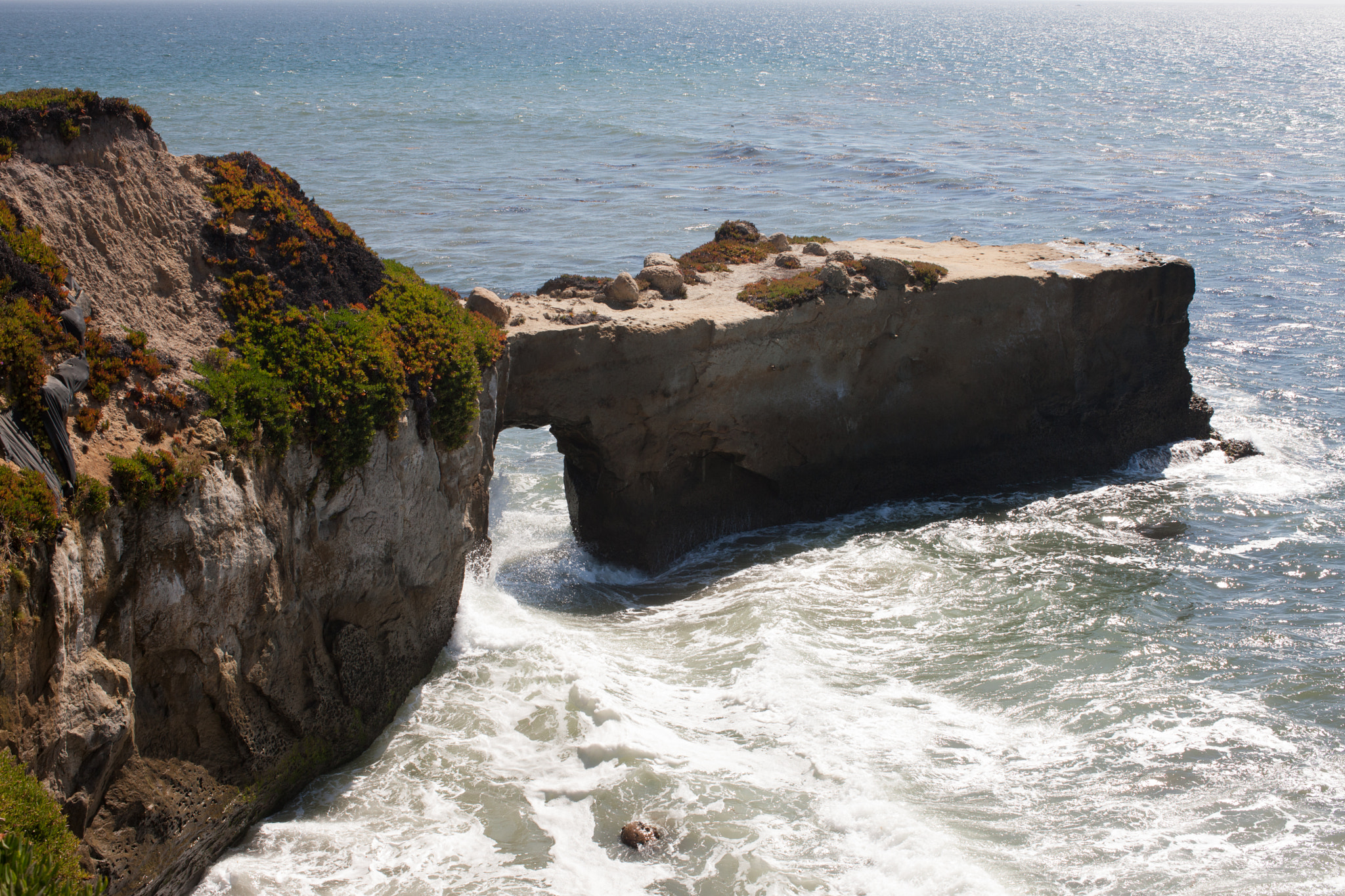 Canon EOS-1Ds Mark III sample photo. Santa cruz photography