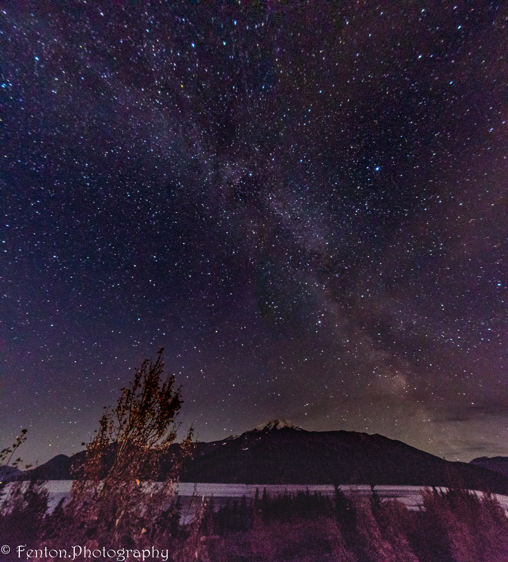 Canon EOS 760D (EOS Rebel T6s / EOS 8000D) sample photo. Milky way at bird point photography