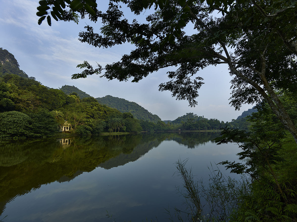 Phase One IQ260 sample photo. Cuc phoung lake - national park vietnam photography