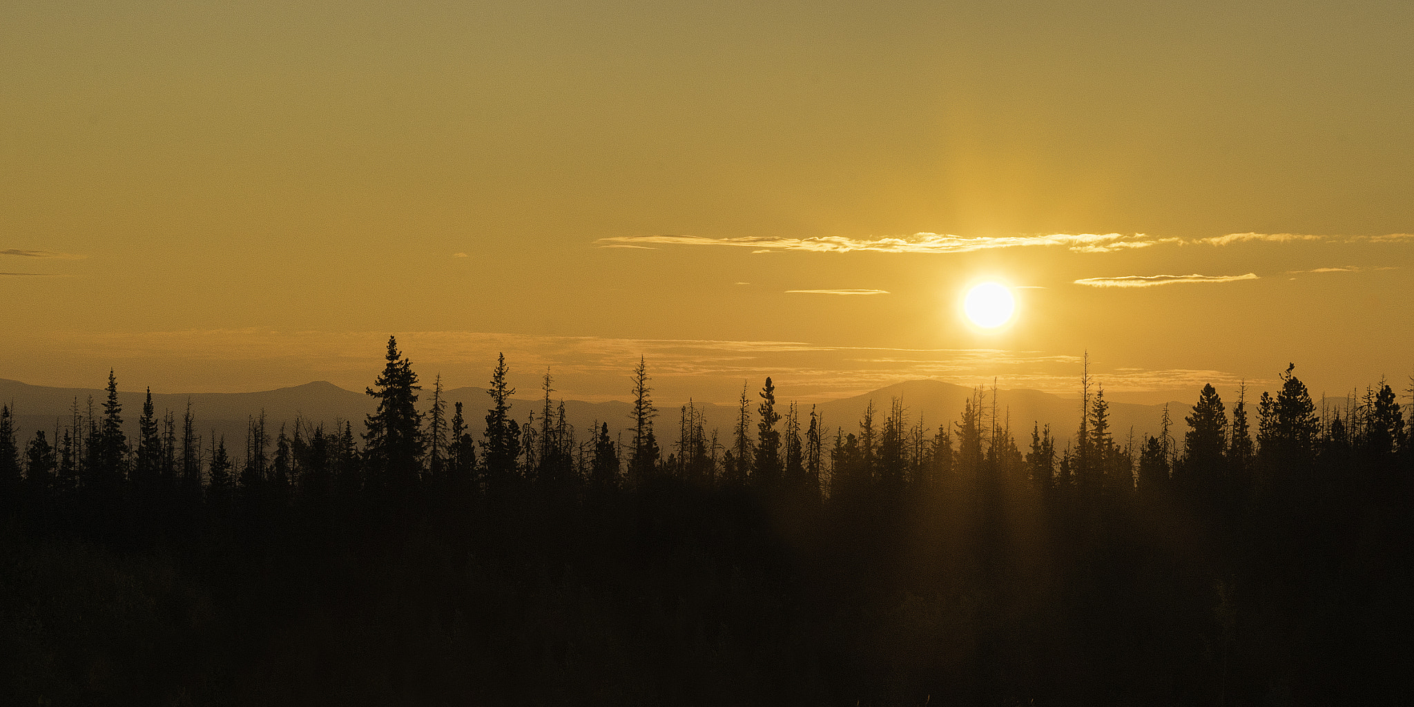 Sony a7R sample photo. For your eyes only photography