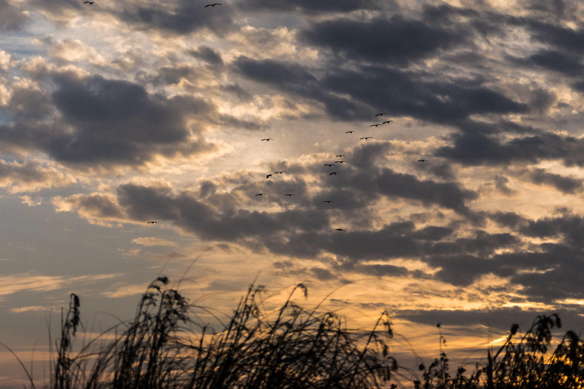 Sony 70-300mm F4.5-5.6 G SSM sample photo. Flight photography