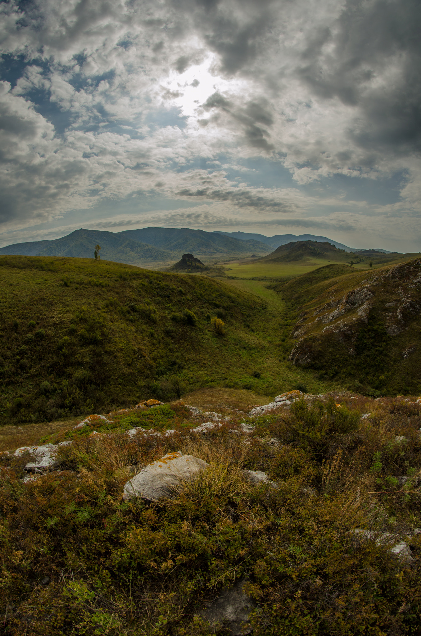Nikon D5100 + Samyang 8mm F3.5 Aspherical IF MC Fisheye sample photo. State reserve photography