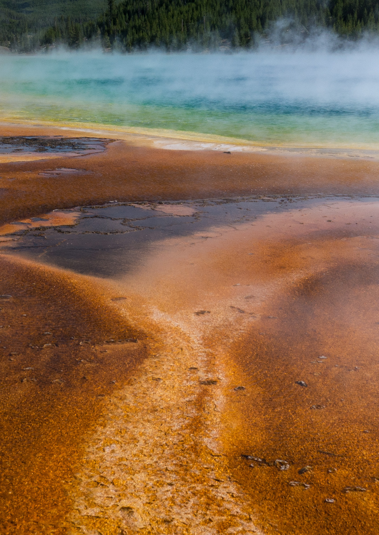 Panasonic Lumix DMC-GX7 sample photo. Grand prismatic  photography