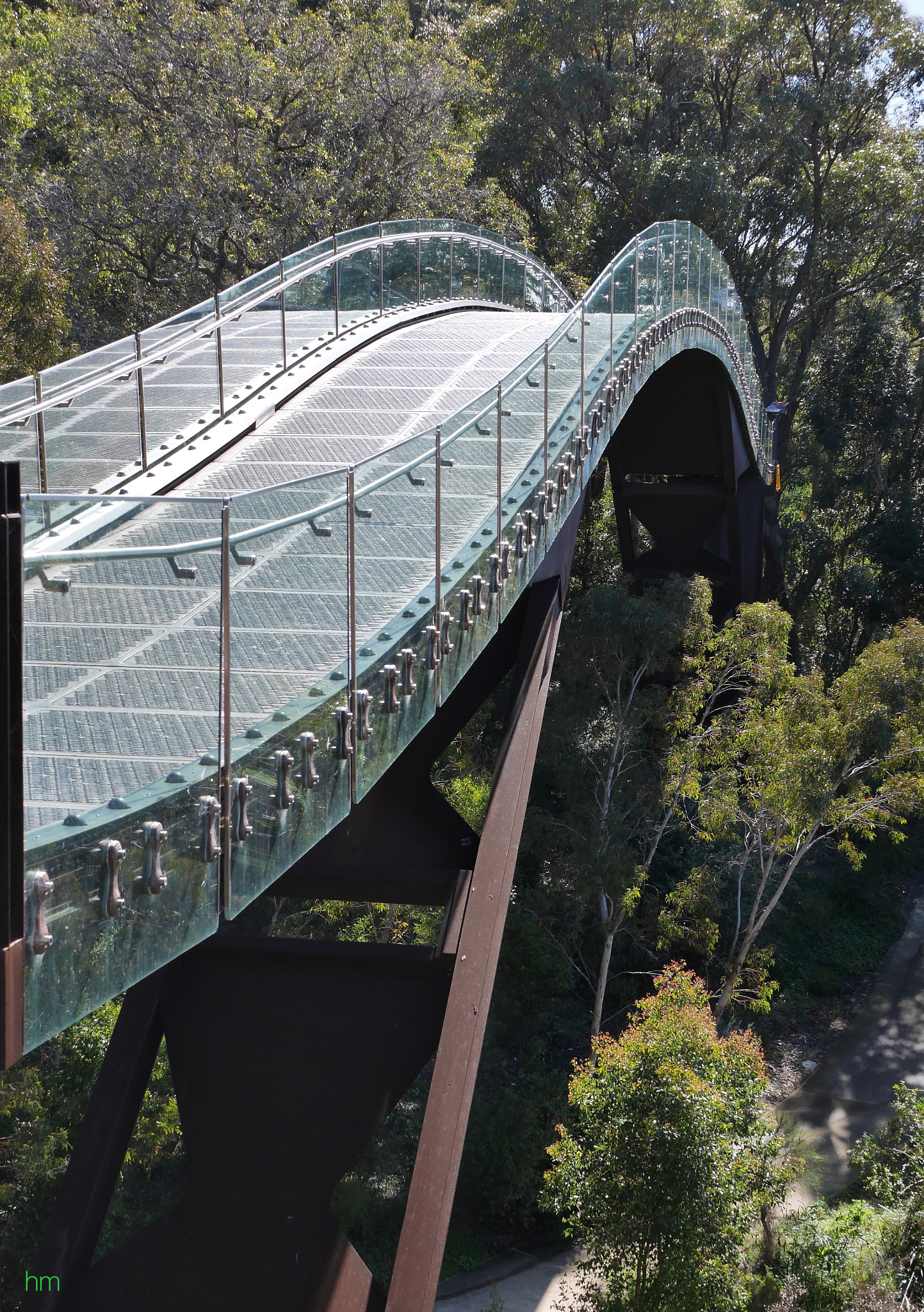 Panasonic Lumix DMC-GX7 sample photo. Treetop walkway in kings park perth wa photography