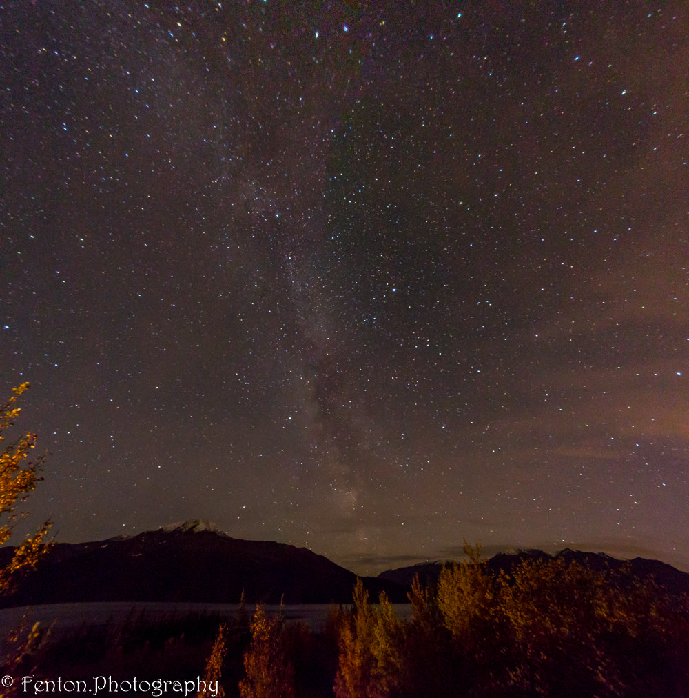 Canon EOS 760D (EOS Rebel T6s / EOS 8000D) + Sigma 8-16mm F4.5-5.6 DC HSM sample photo. Starlight over bird point photography