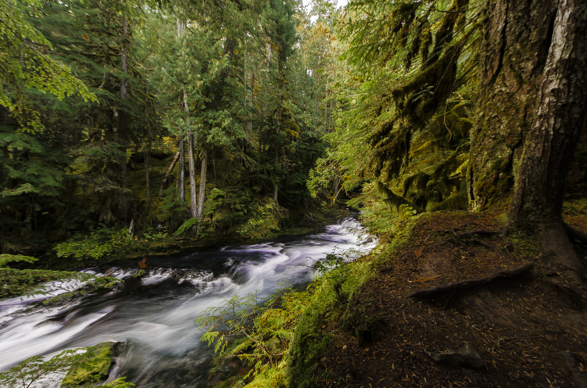Sigma 8-16mm F4.5-5.6 DC HSM sample photo. Sahalie falls iii photography