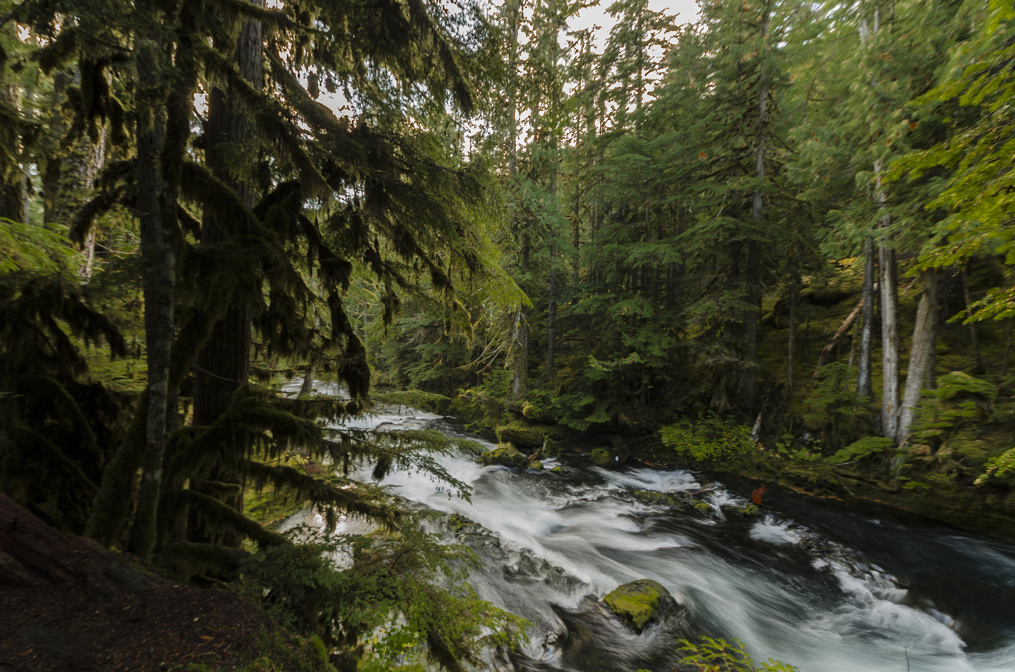 Sigma 8-16mm F4.5-5.6 DC HSM sample photo. Sahalie falls ii photography