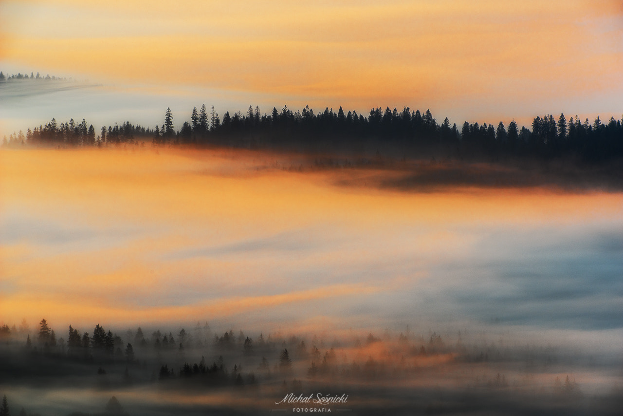 Sigma 50-500mm F4.5-6.3 DG OS HSM sample photo. Sierpniowy poranek... photography