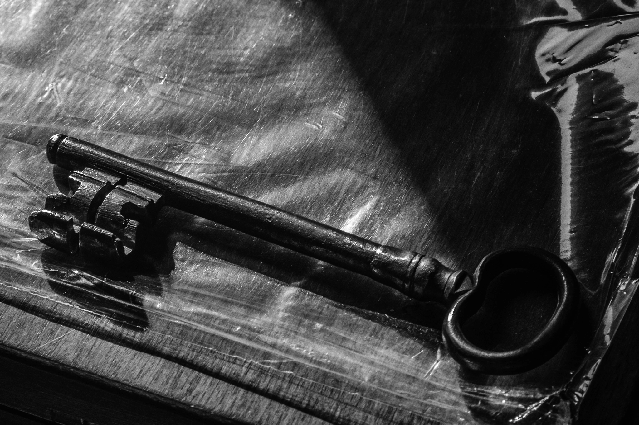 Fujifilm X-T1 + Fujifilm XF 60mm F2.4 R Macro sample photo. The key, the secret photography