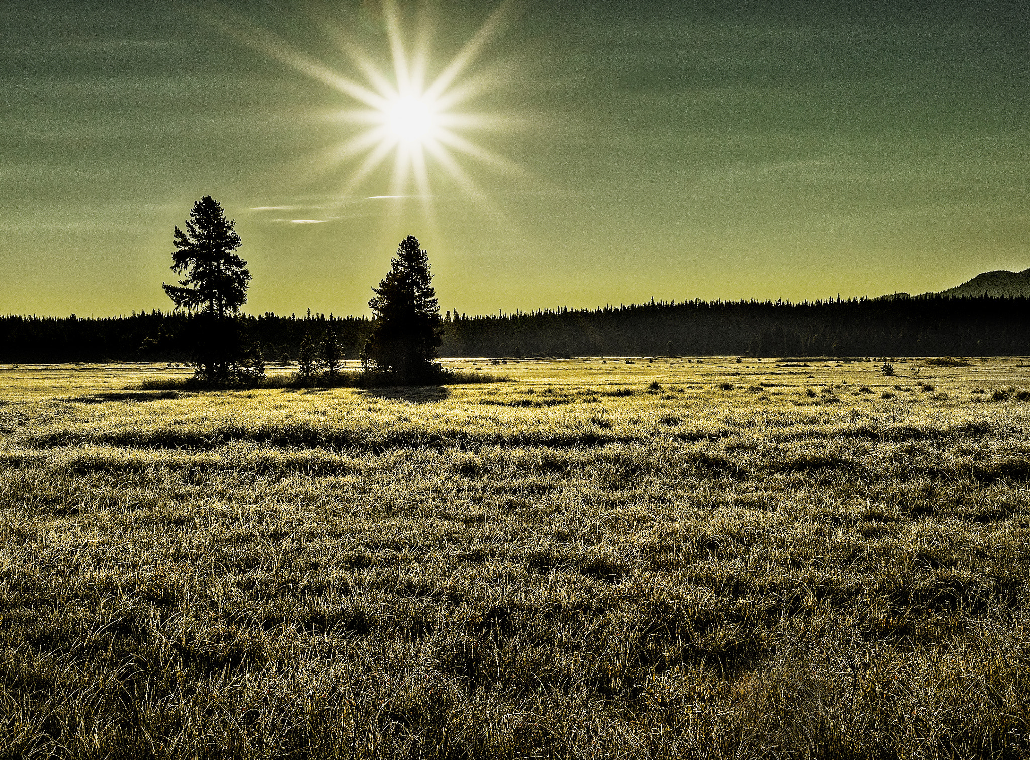 Sony a7R sample photo. Cold autumn day photography