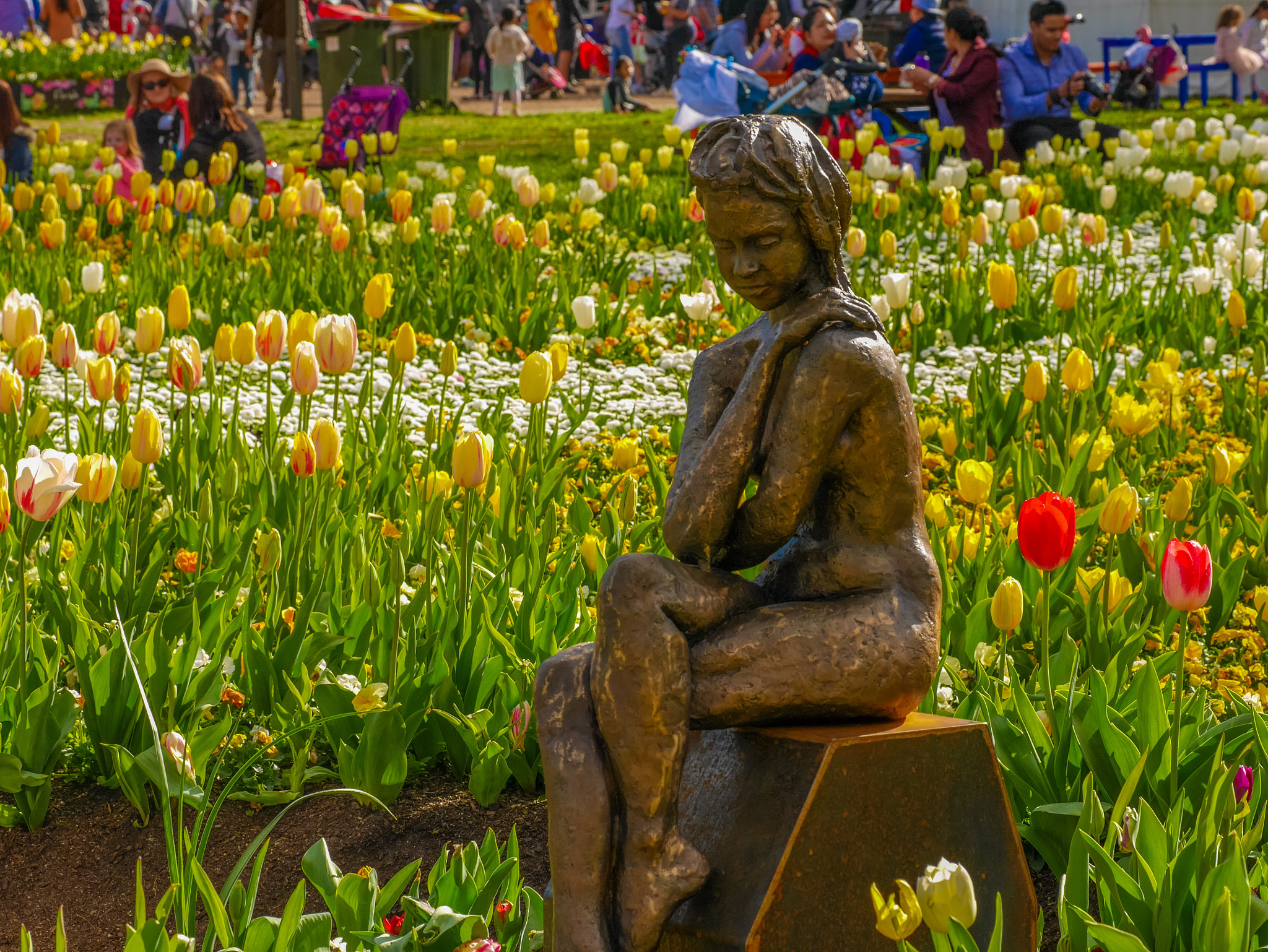 Panasonic DMC-GM1S + Olympus M.Zuiko Digital ED 60mm F2.8 Macro sample photo. She walks in beauty.... - location: floriade, commonwealth park, act, australia photography