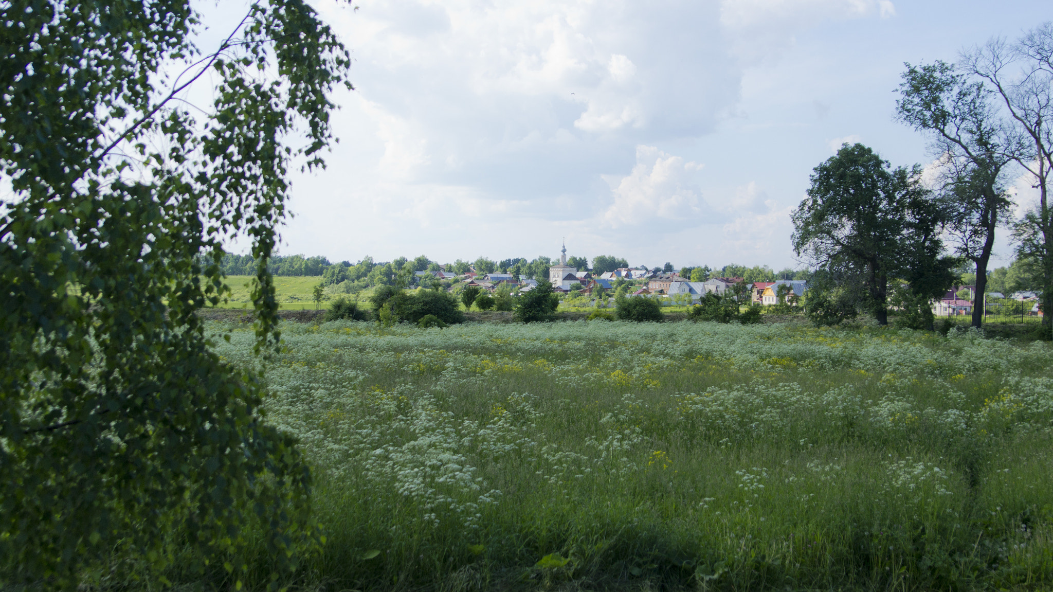 Sony Alpha DSLR-A580 + Sony 28-75mm F2.8 SAM sample photo. Somewhere  in suzdal photography