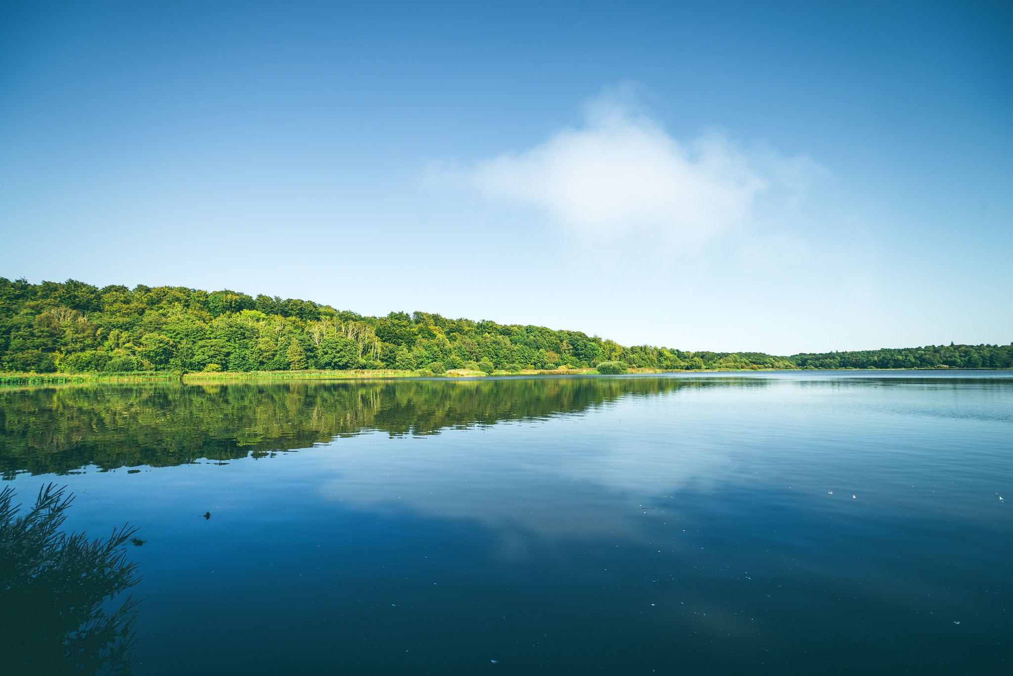 Sony a7R sample photo. Quiet lake surrounded by a green forest photography