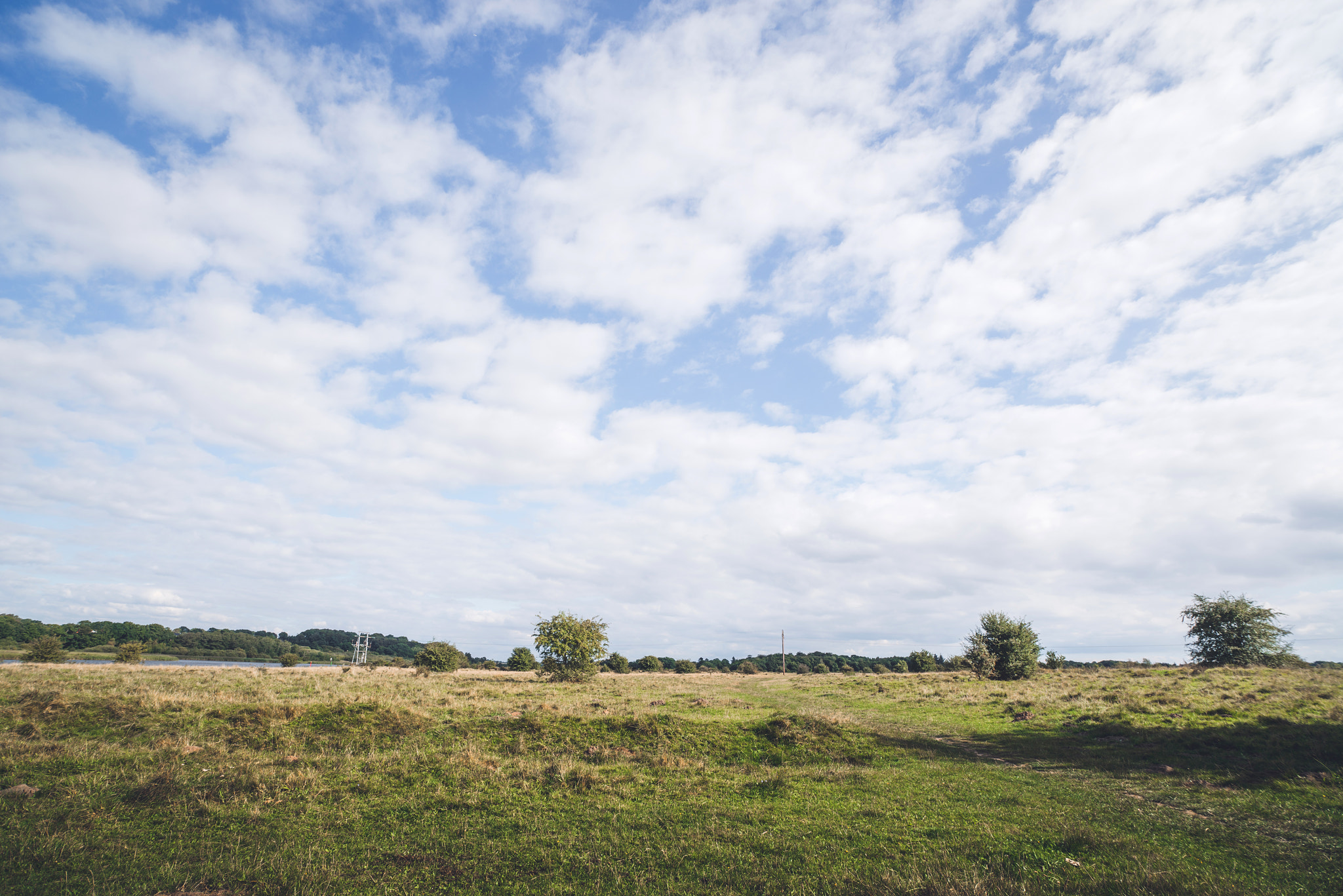 Sony a7R + Sony Vario-Sonnar T* 16-35mm F2.8 ZA SSM sample photo. Prairie landscape with small trees photography