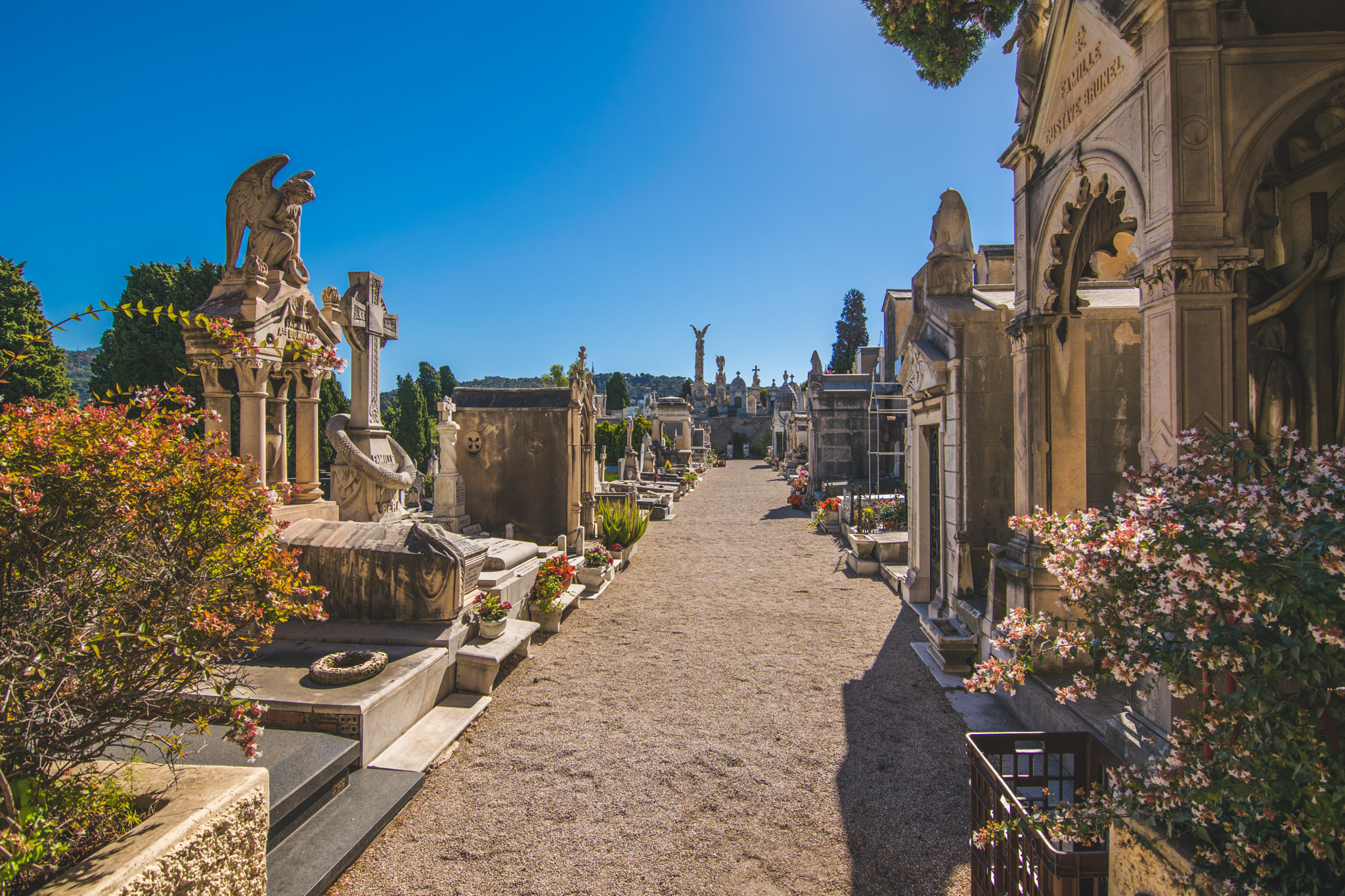 Cemetery in Nice