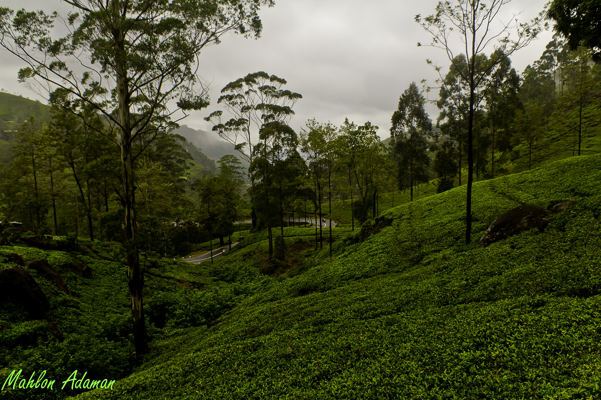 Sigma 18-50mm F2.8-4.5 DC OS HSM sample photo. Nuwara-eliya, sri lanka photography