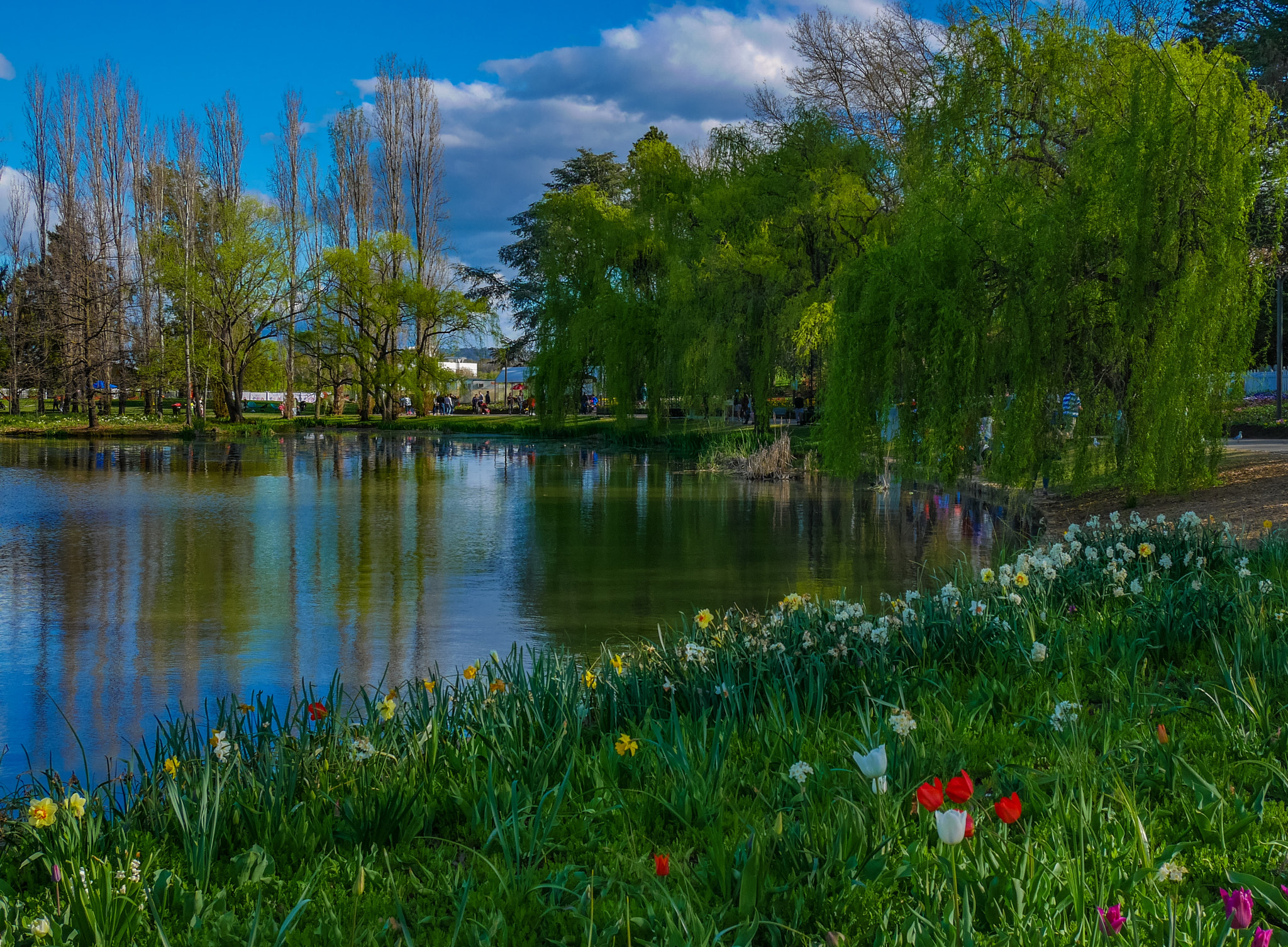 Panasonic DMC-GM1S sample photo. Peaceful - location: floriade, commonwealth park, act, australia photography