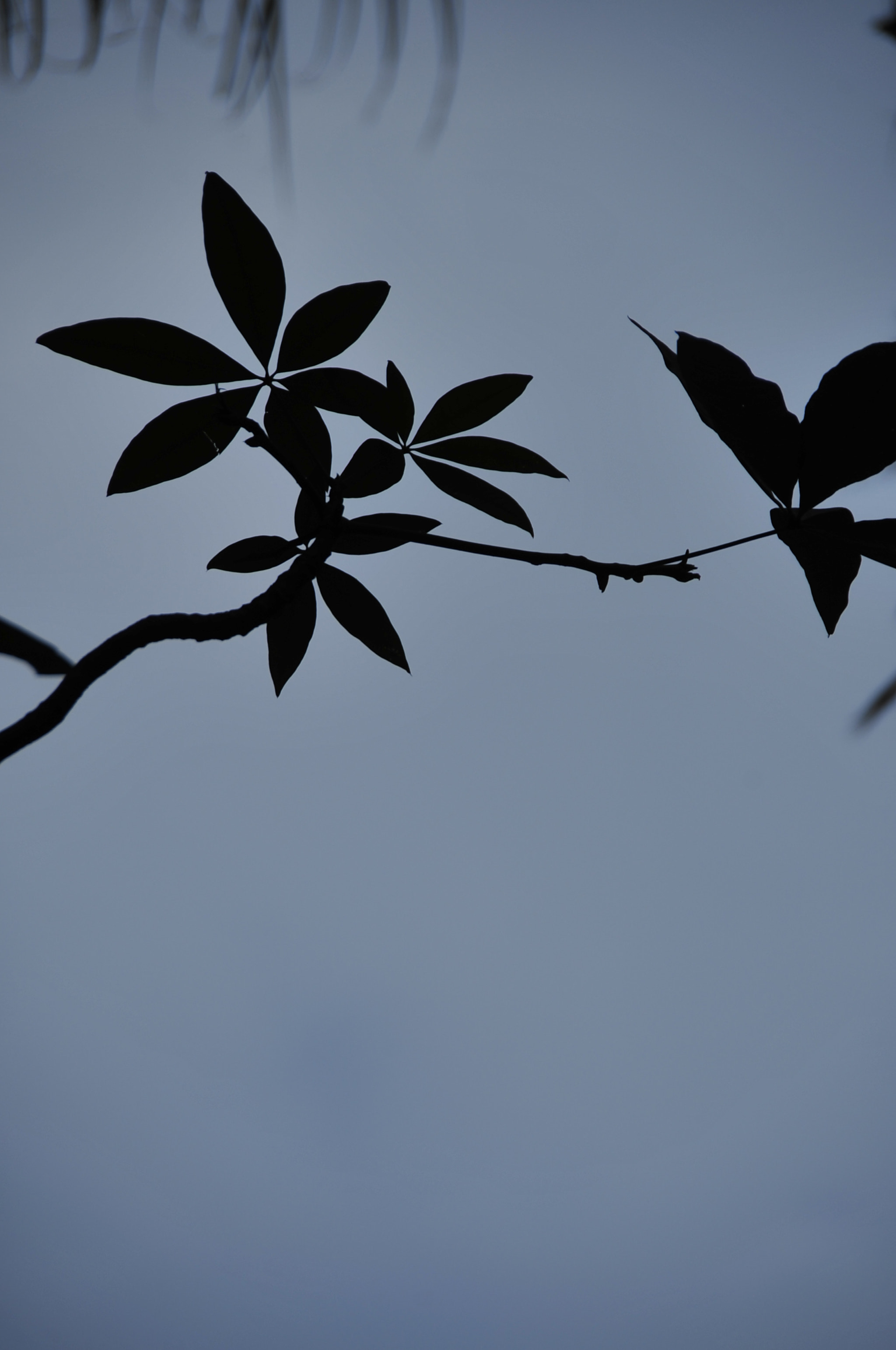 Nikon D3 sample photo. .. photography