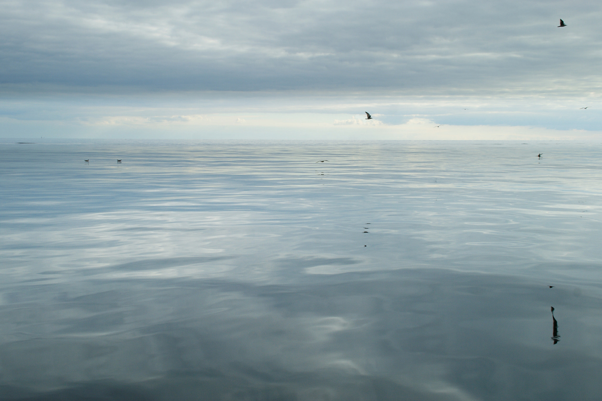 Sony Alpha DSLR-A290 sample photo. Silver  sea ~~~~ silence photography