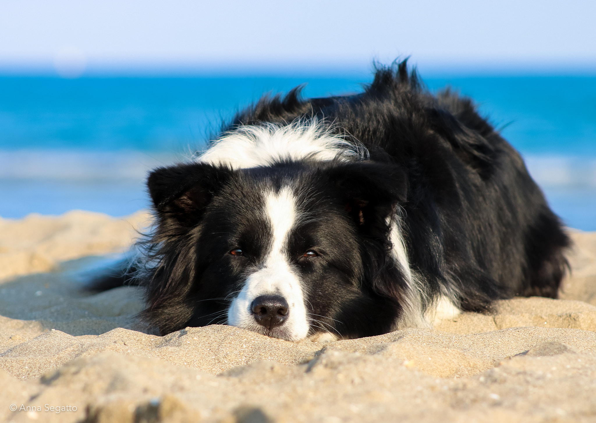 Canon EF 75-300mm f/4-5.6 USM sample photo