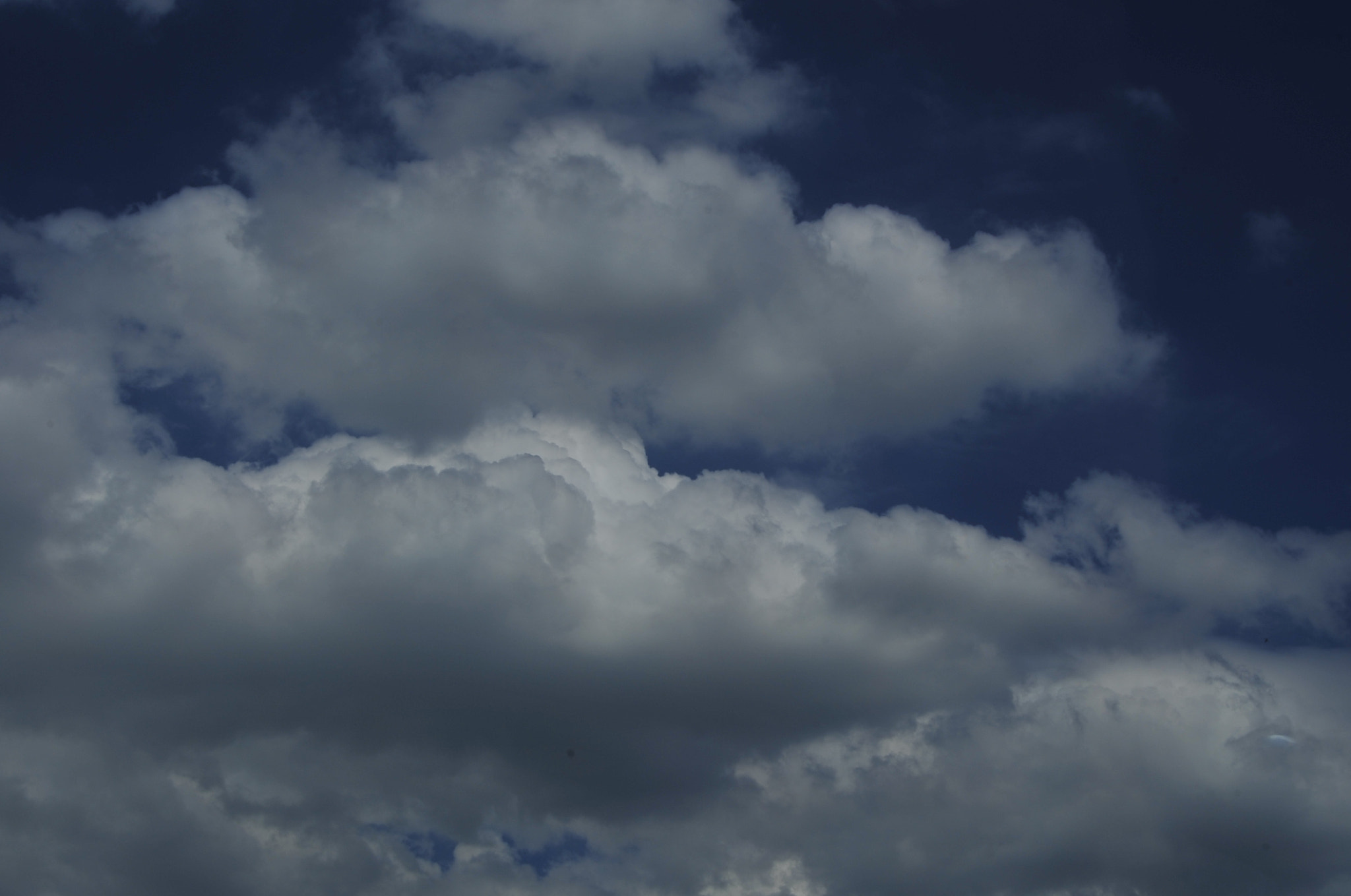 Nikon D3 sample photo. .. photography